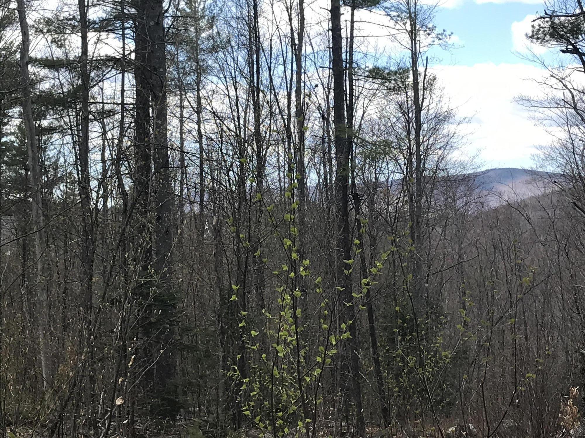 0 River Road Sumner, ME 04292 - Photo 2 of 8 9704B55C-970E-4A56-9CCF-17D3585E0129