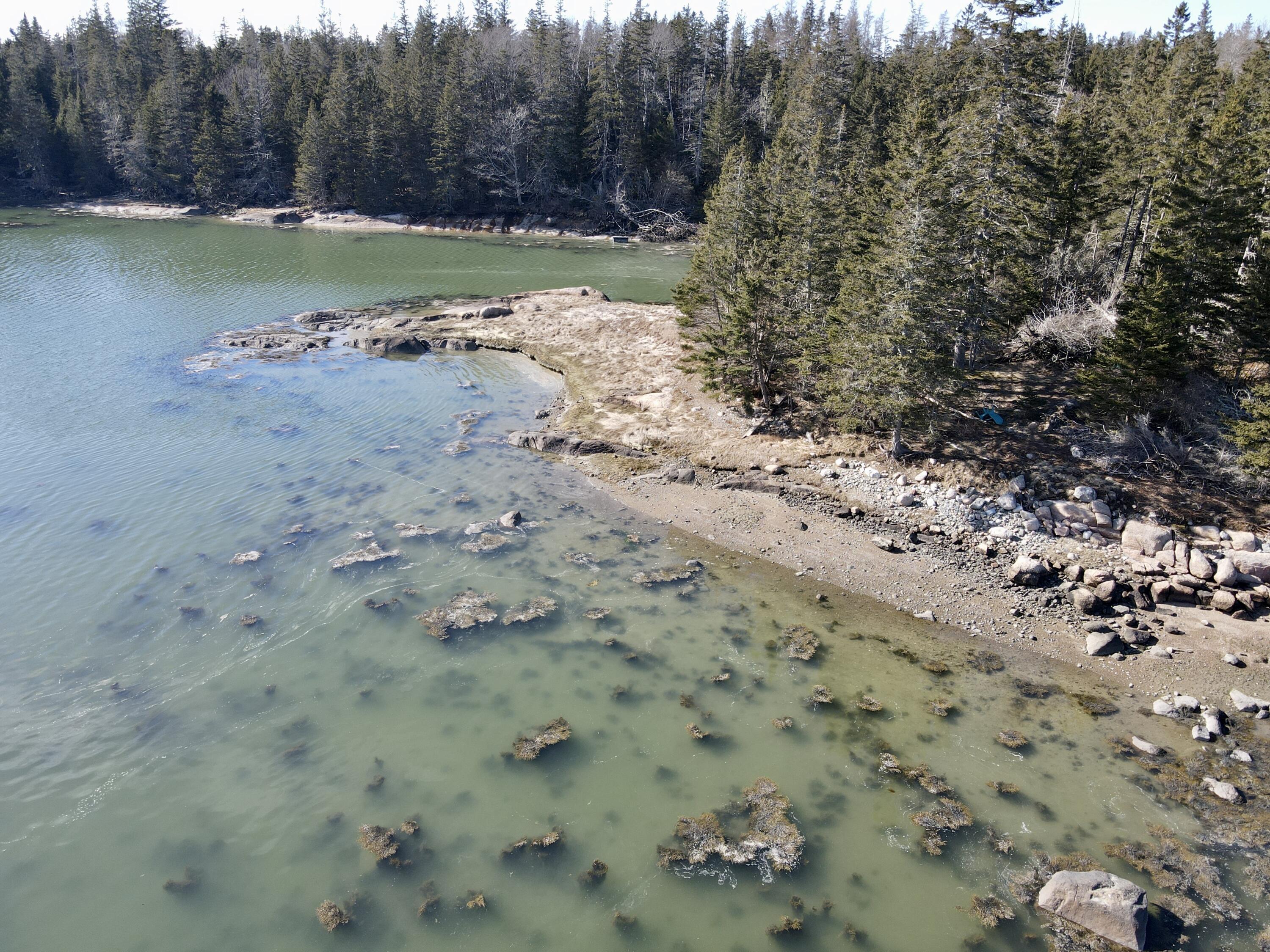 111 Oceanville Road Stonington, ME 04681 - Photo 23 of 29 Photo Apr 02 2024, 4 02 03 PM