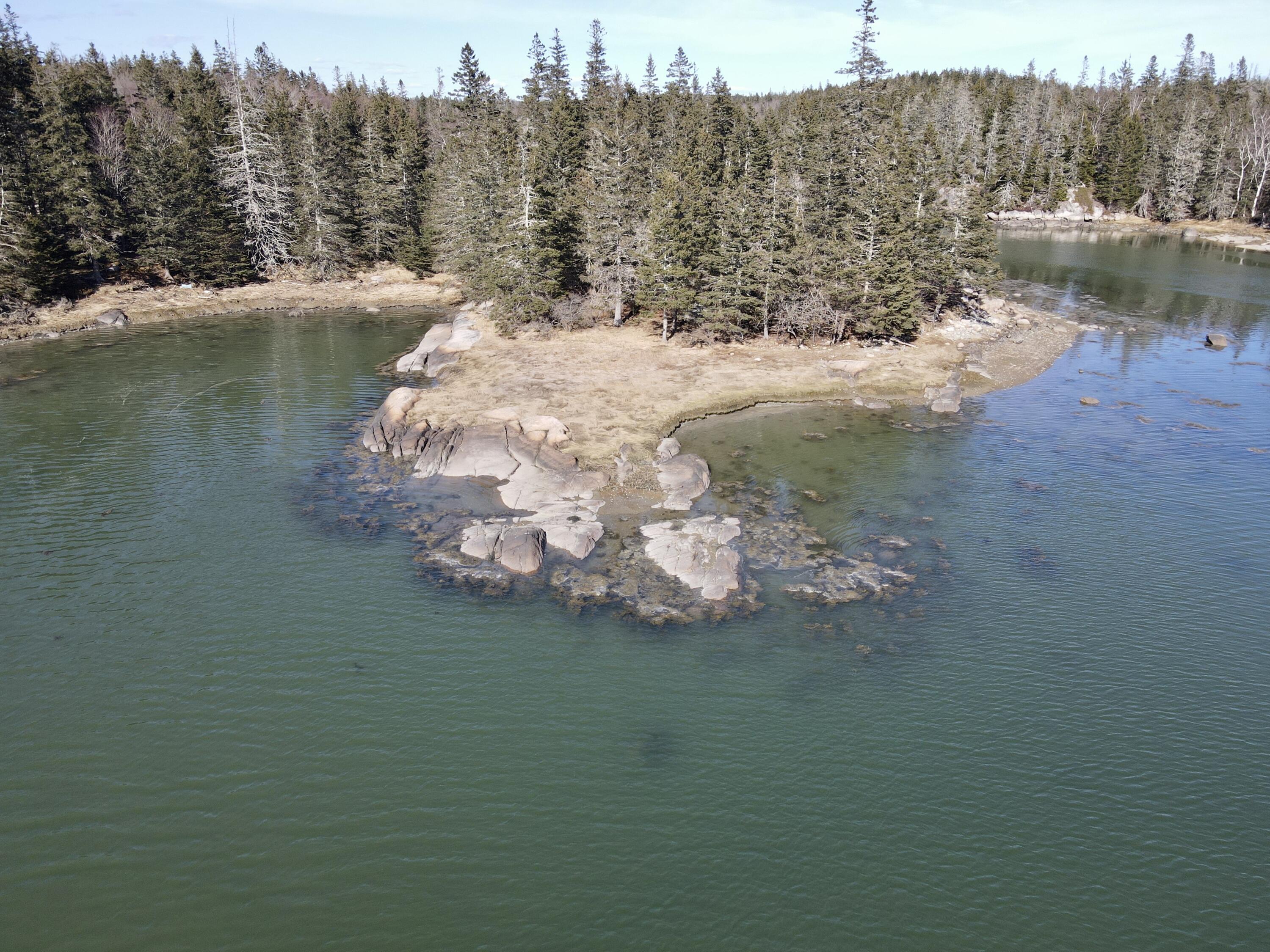 111 Oceanville Road Stonington, ME 04681 - Photo 24 of 29 Photo Apr 02 2024, 4 02 28 PM