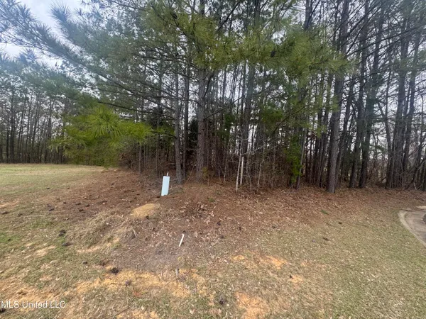 $29,500 | 0 Kite Cove, Holly Springs, MS 38635