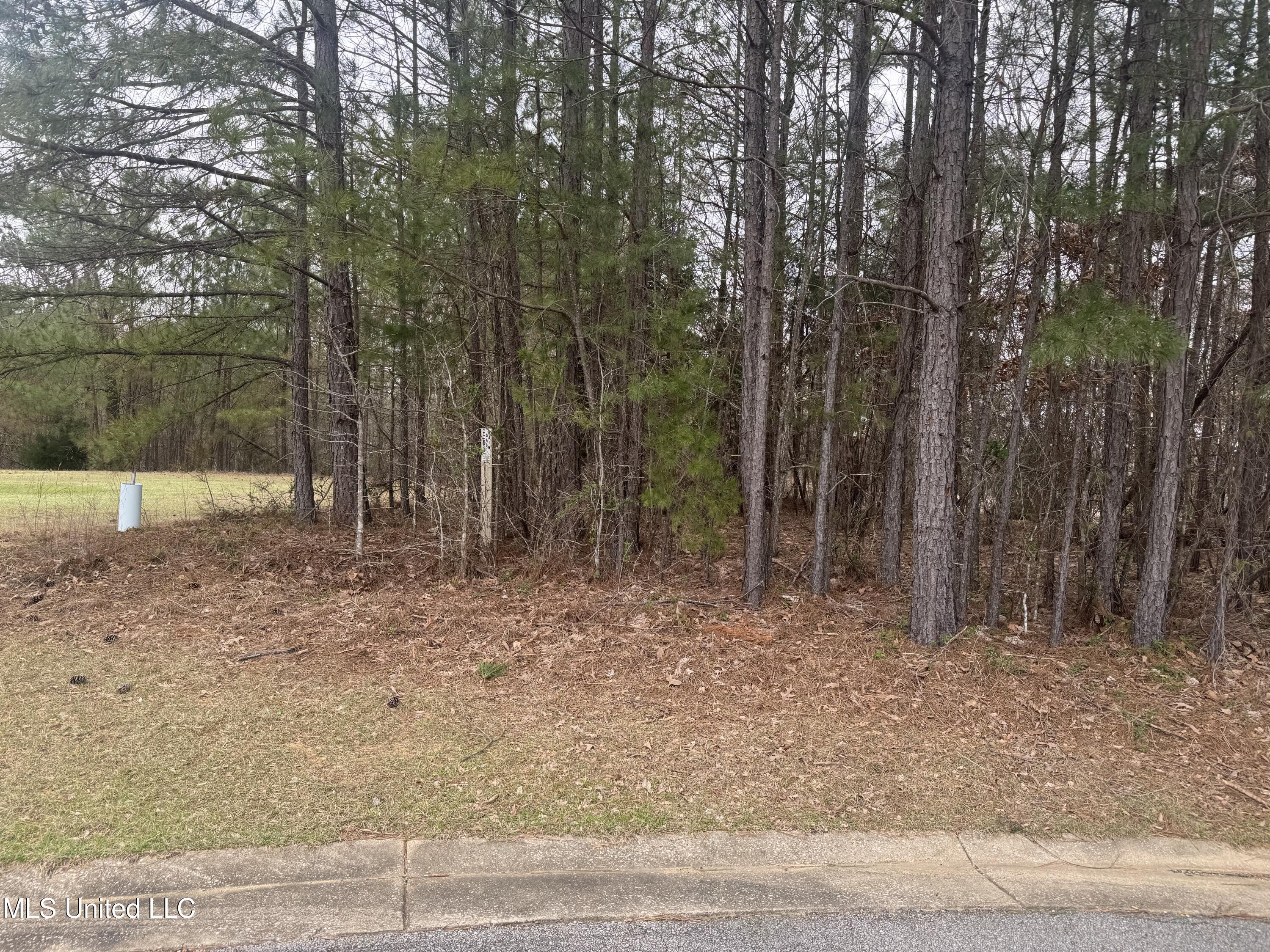 0 Kite Cove Holly Springs, MS 38635 - Photo 2 of 4 Front View