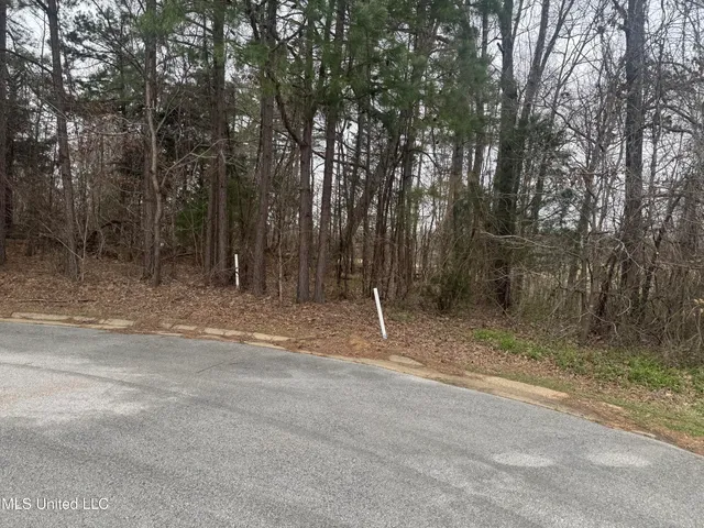 $30,000 | 0 Kite Cove, Holly Springs, MS 38635