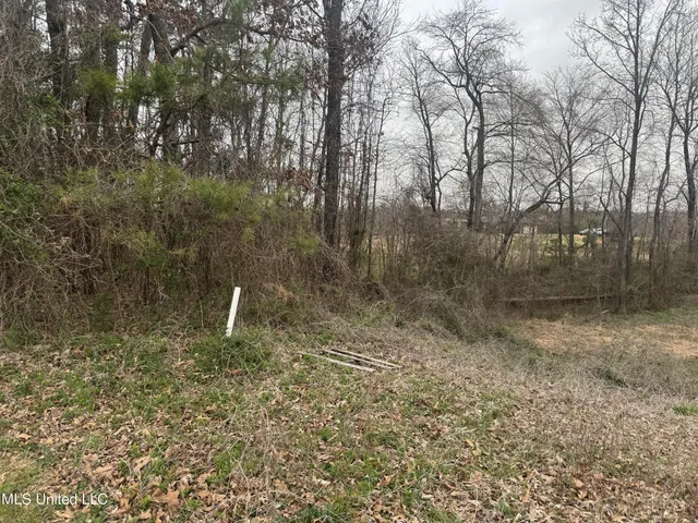 $30,000 | 0 Kite Cove, Holly Springs, MS 38635