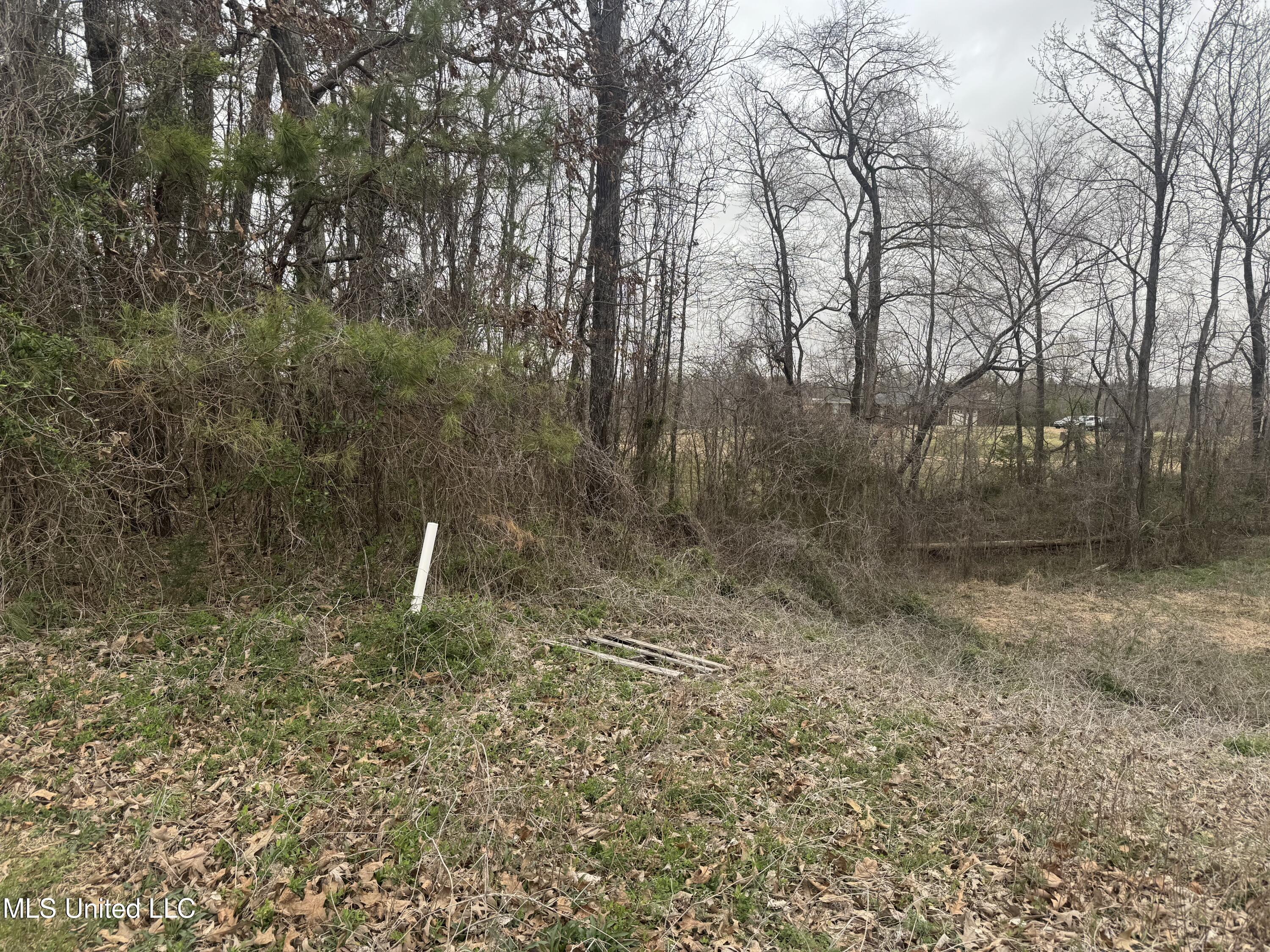 0 Kite Cove Holly Springs, MS 38635 - Photo 4 of 4 Left View