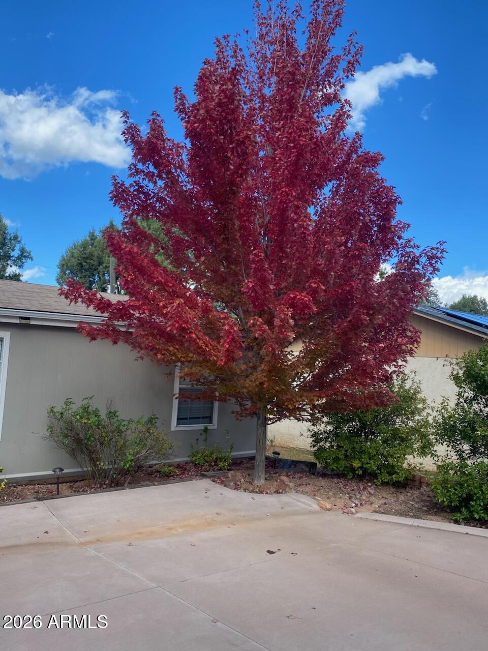 112 East Pine Street Payson, AZ 85541 - Photo 58 of 58 front view of a house with a street