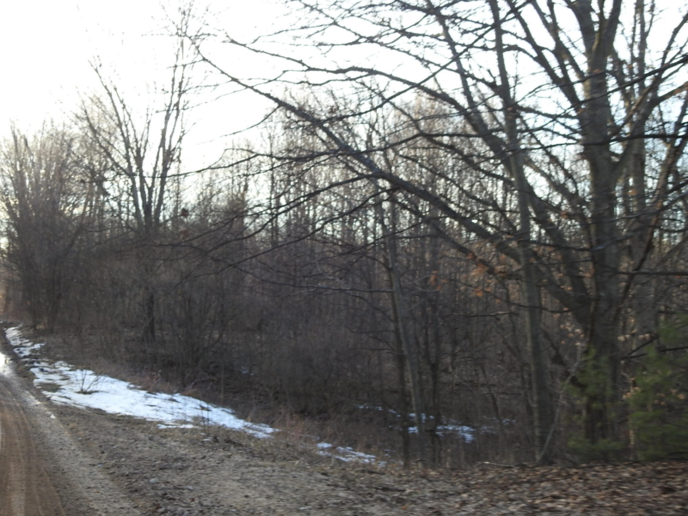 Filmore Road Mears, MI 49436 - Photo 16 of 19 DSCN0648