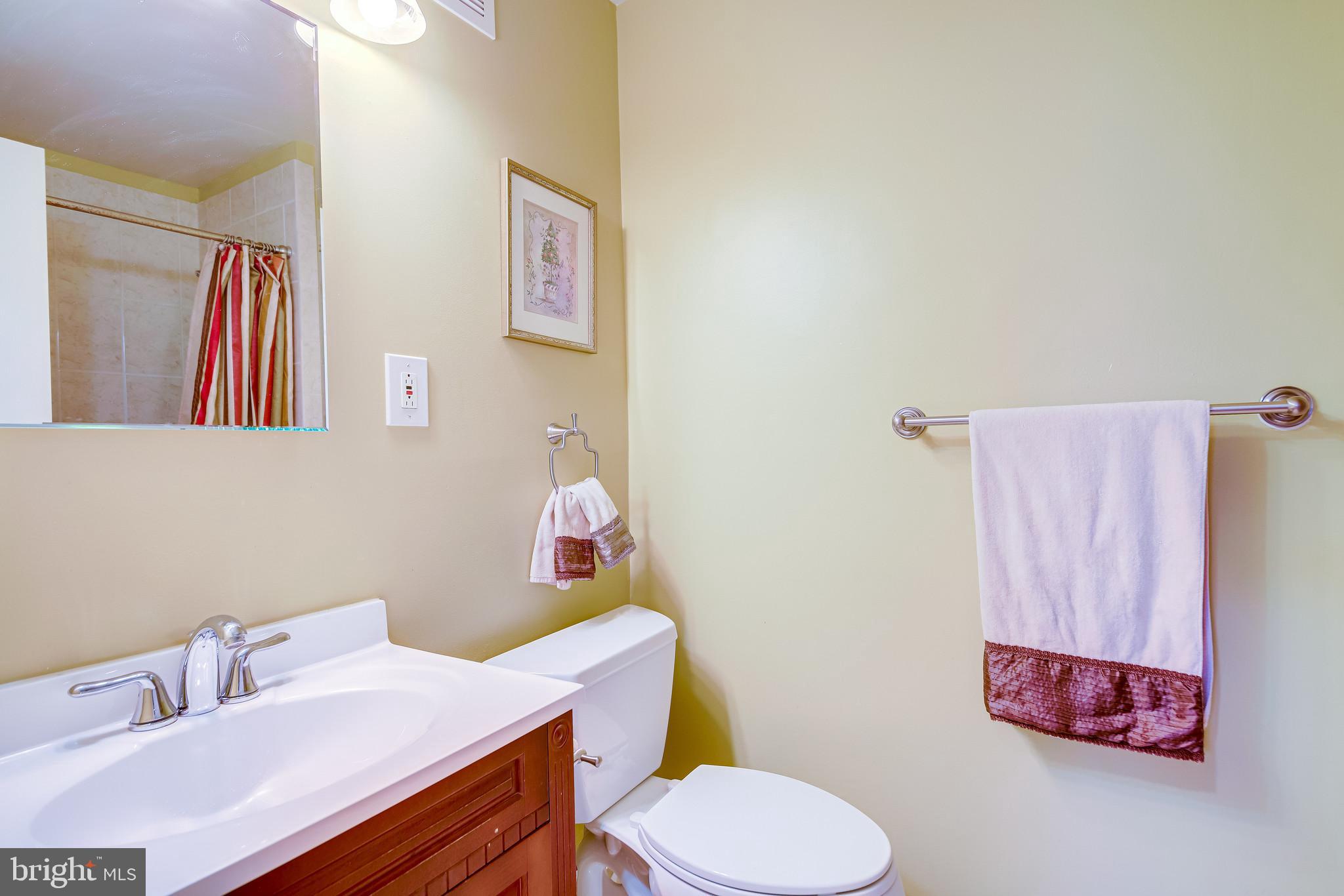 11019 Ring Road Reston, VA 20190 - Photo 22 of 62 Lower Level-Full Bath