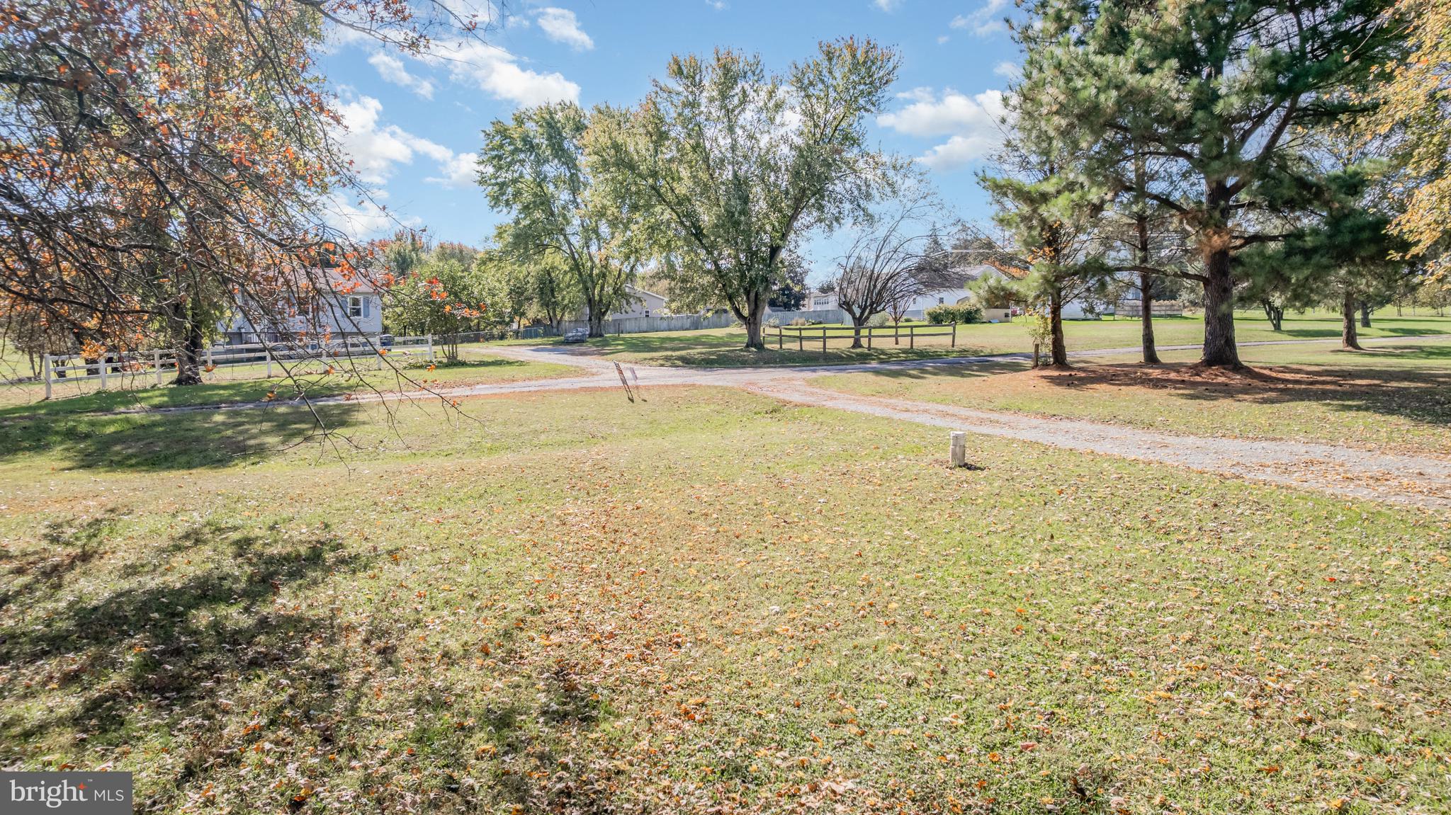 21 Country Lane Colora, MD 21917 - Photo 39 of 68 a view of yard with trees