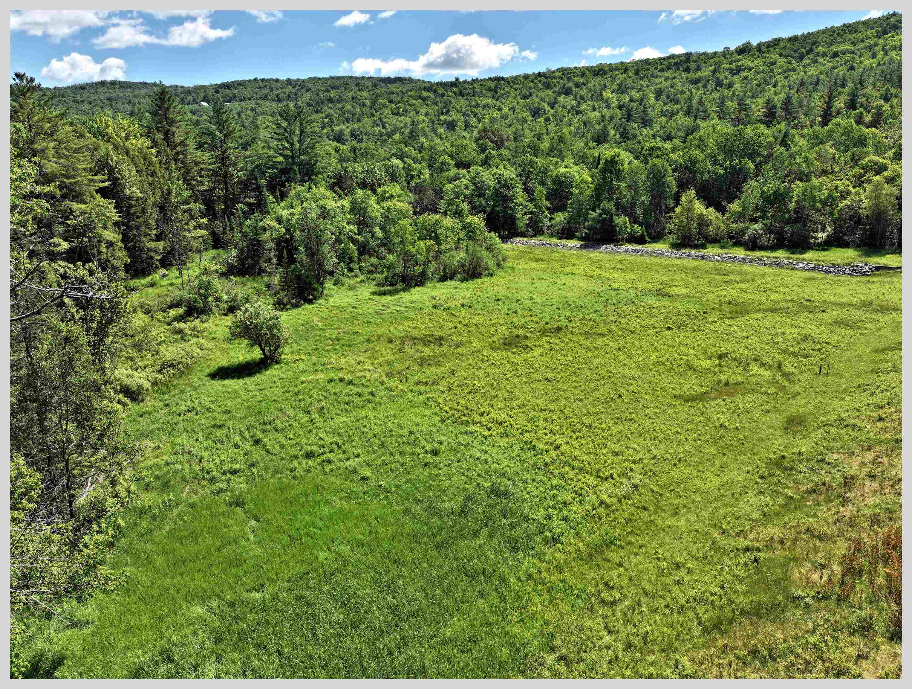 206 River Road Rumney, NH 03266 - Photo 56 of 60