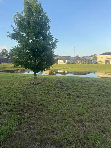 a view of an ocean from a yard