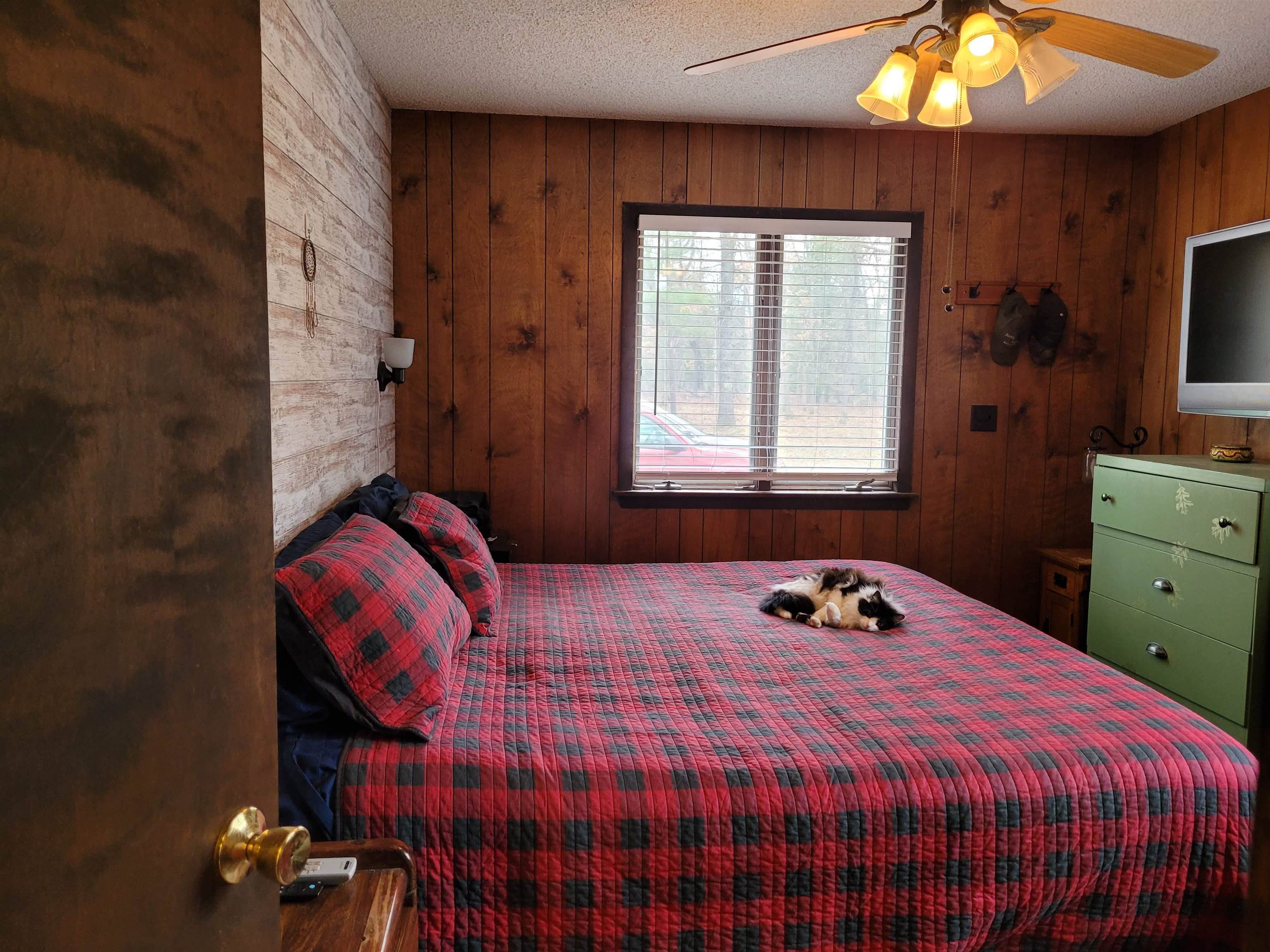 6241 West Wingleton Road Baldwin, MI 49304 - Photo 9 of 34 1898777-9.JPG
