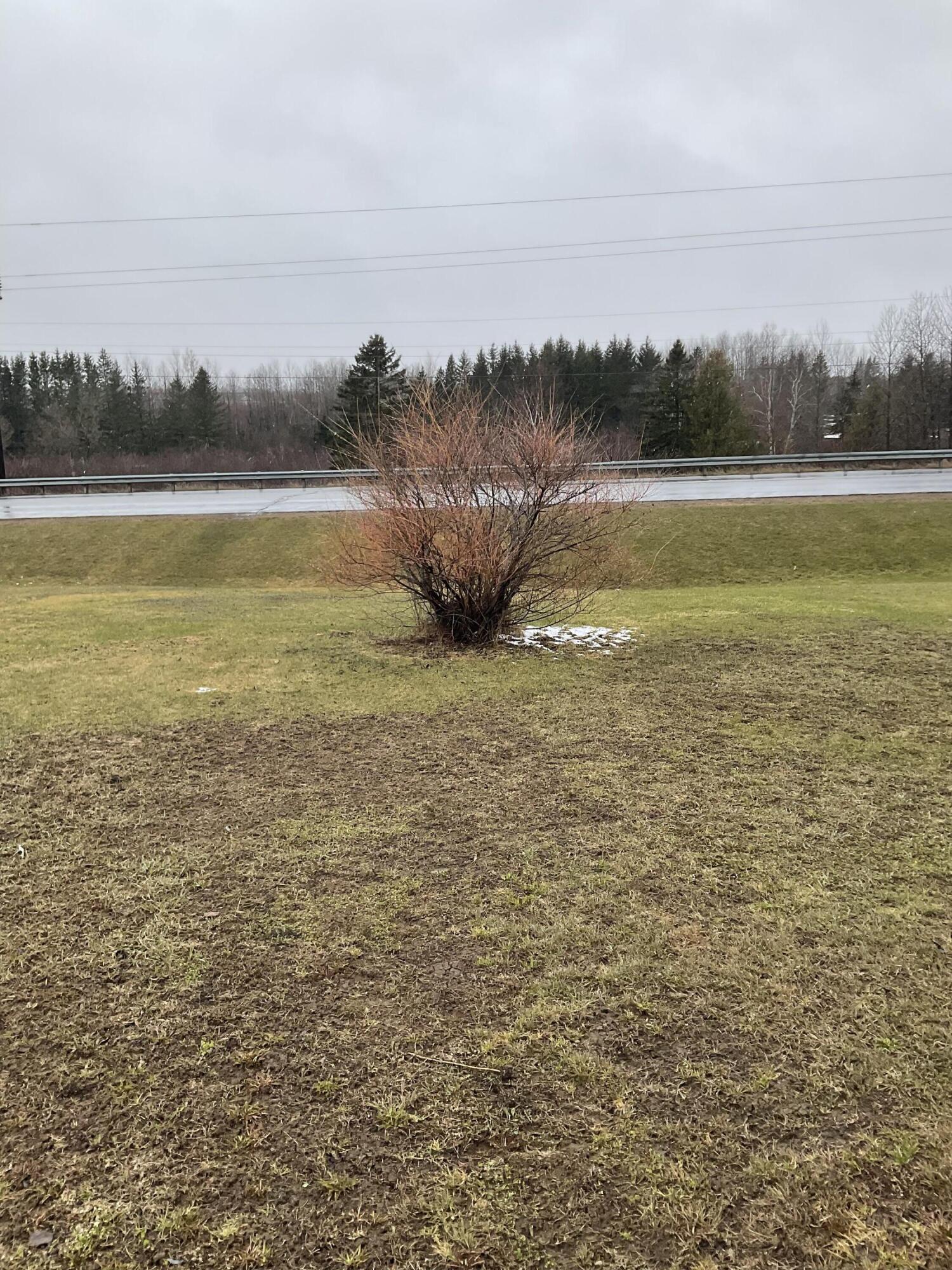 144 Pondview Street Limestone, ME 04750 - Photo 5 of 41 Backyard