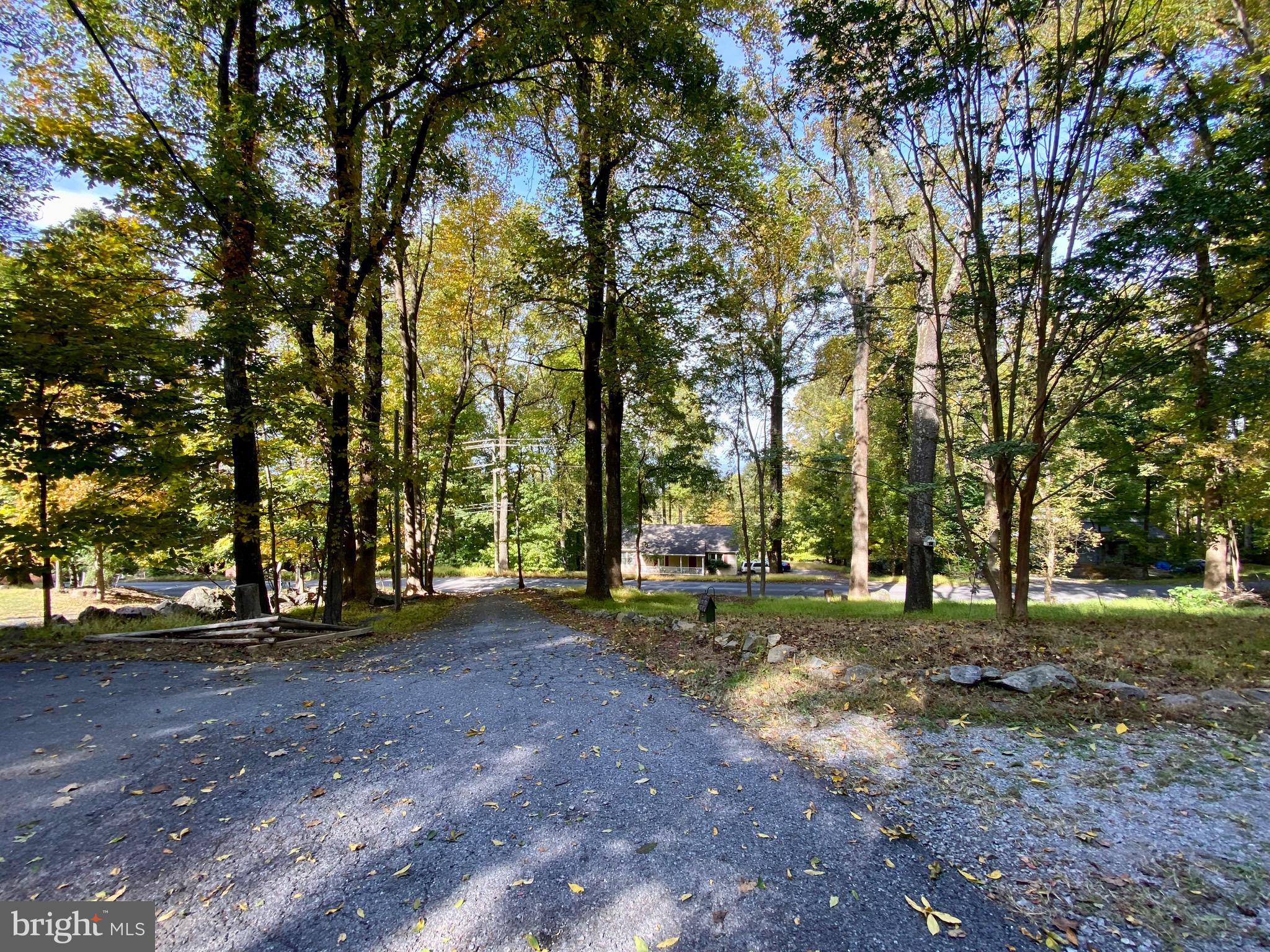 134 Salt Lick Road Front Royal, VA 22630 - Photo 54 of 60 Looking down asphalt driveway to street