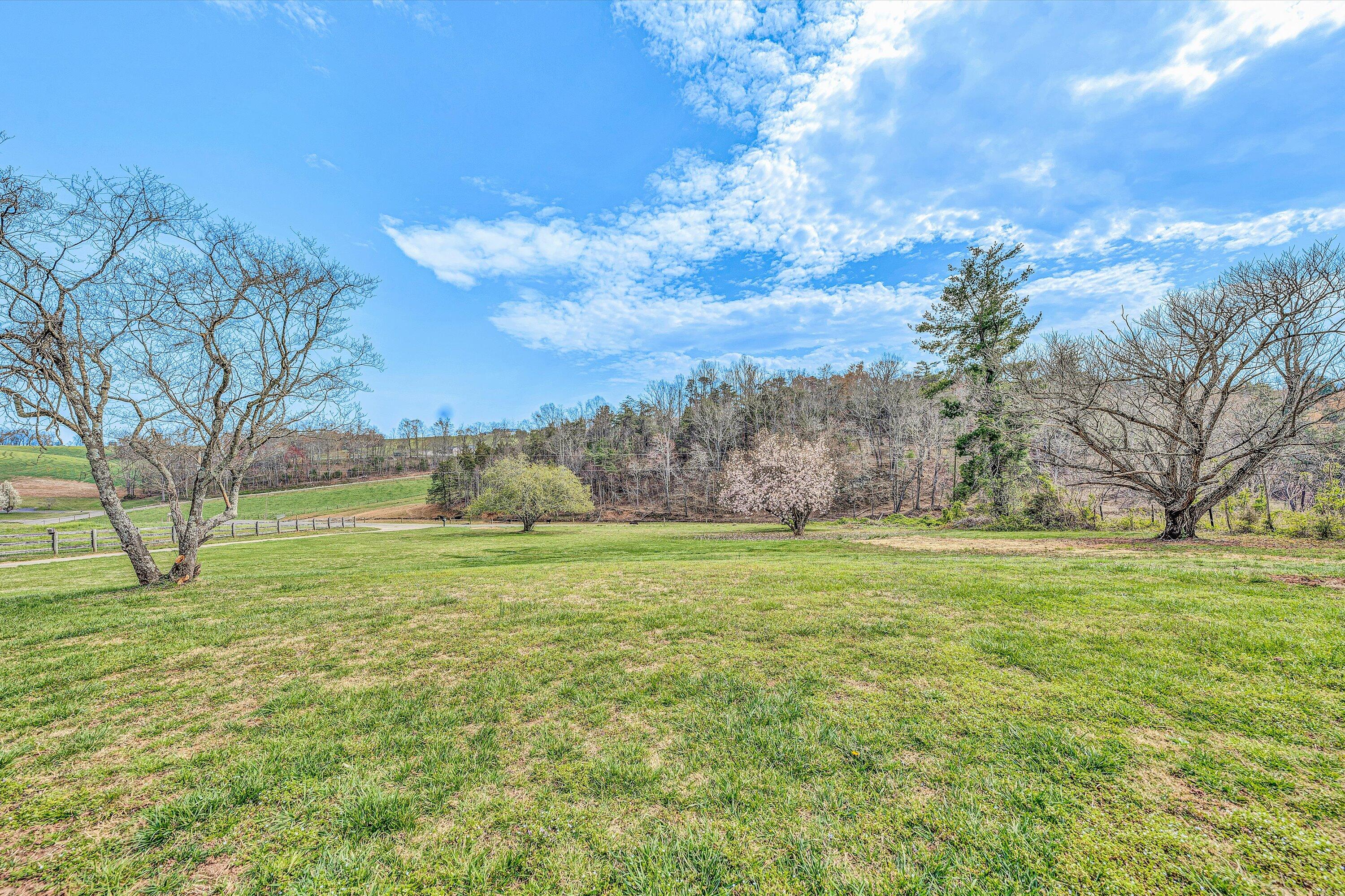 90 Campbellwood Road Boones Mill, VA 24065 - Photo 6 of 38 a big yard with lots of green space