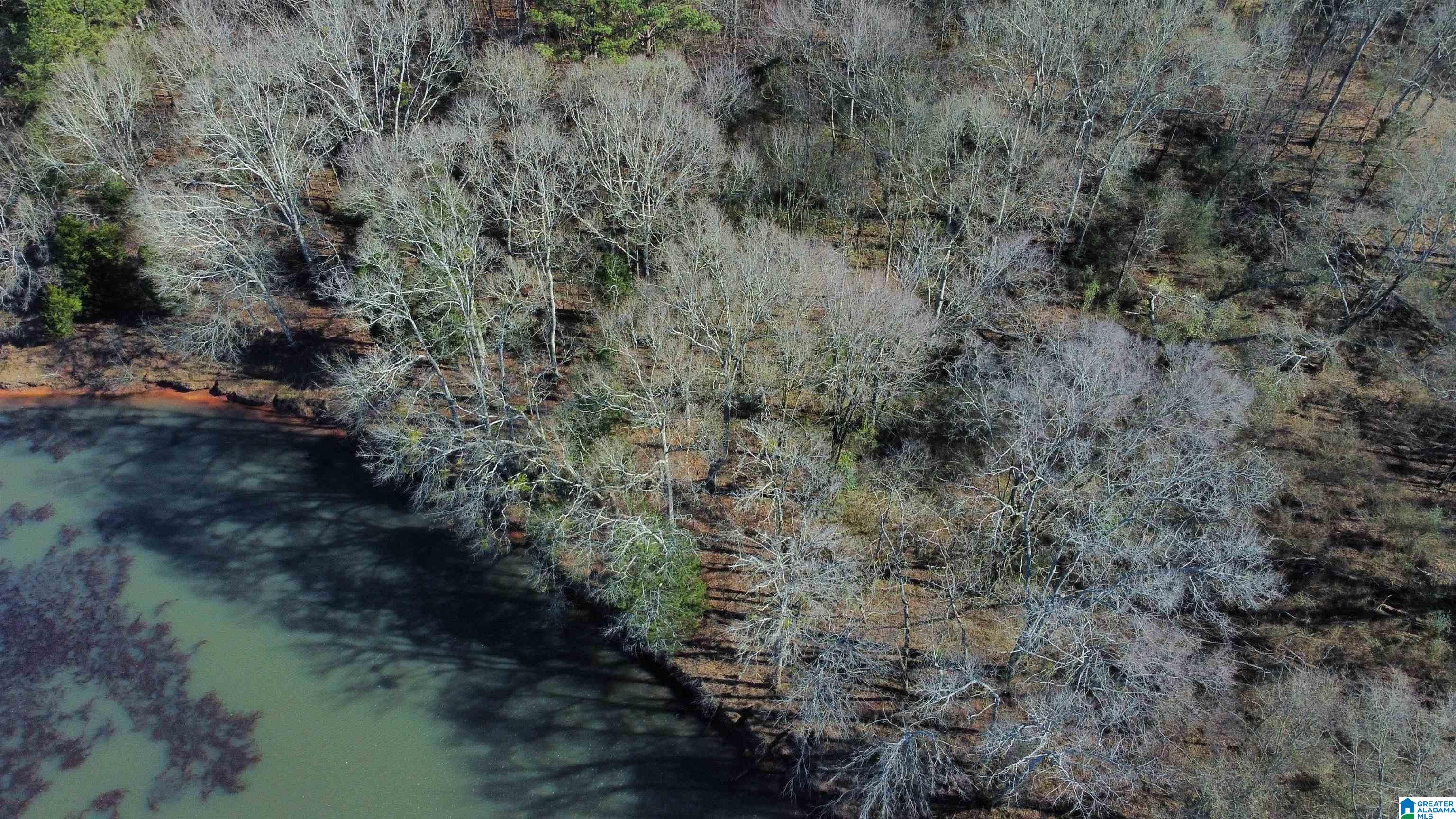 78 Highway Riverside, AL 35135 - Photo 5 of 23