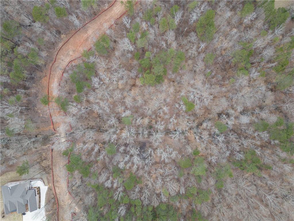 2350 East Maddox Road Buford, GA 30519 - Photo 11 of 17 a picture of a tree with a yard