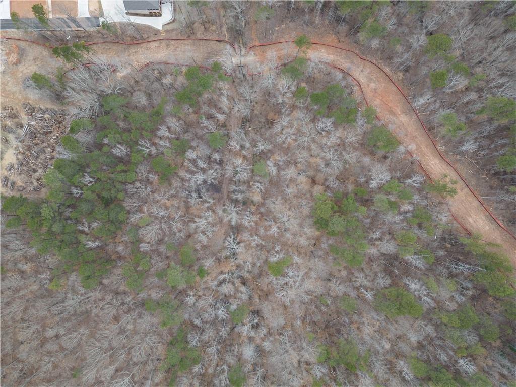 2350 East Maddox Road Buford, GA 30519 - Photo 14 of 17 a view of a yard with a tree