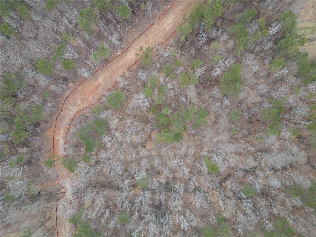 2350 East Maddox Road Buford, GA 30519 - Photo 10 of 17 a view of a yard with a trees