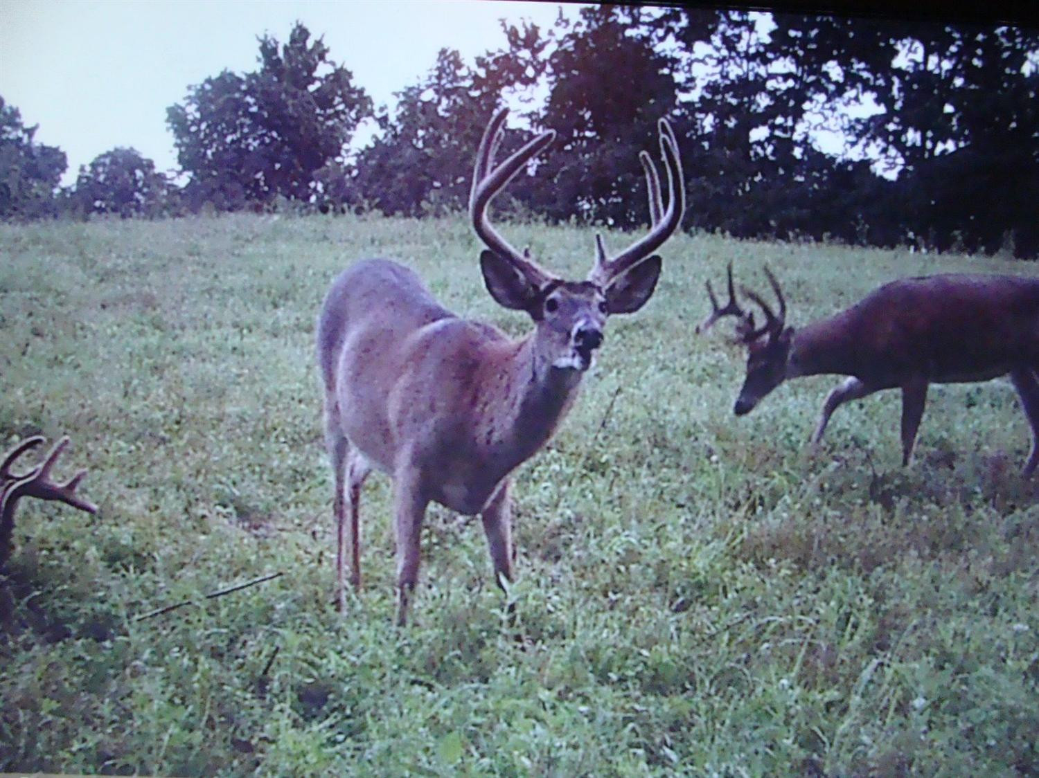 1 Fallis Run Road Harrodsburg, KY 40330 - Photo 1 of 8 Photo 1
