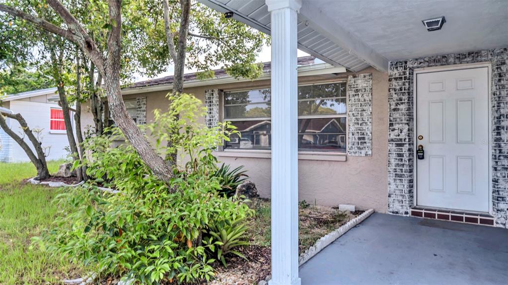 11241 Snyder Avenue Port Richey, FL 34668 - Photo 3 of 24 an outdoor view of garden