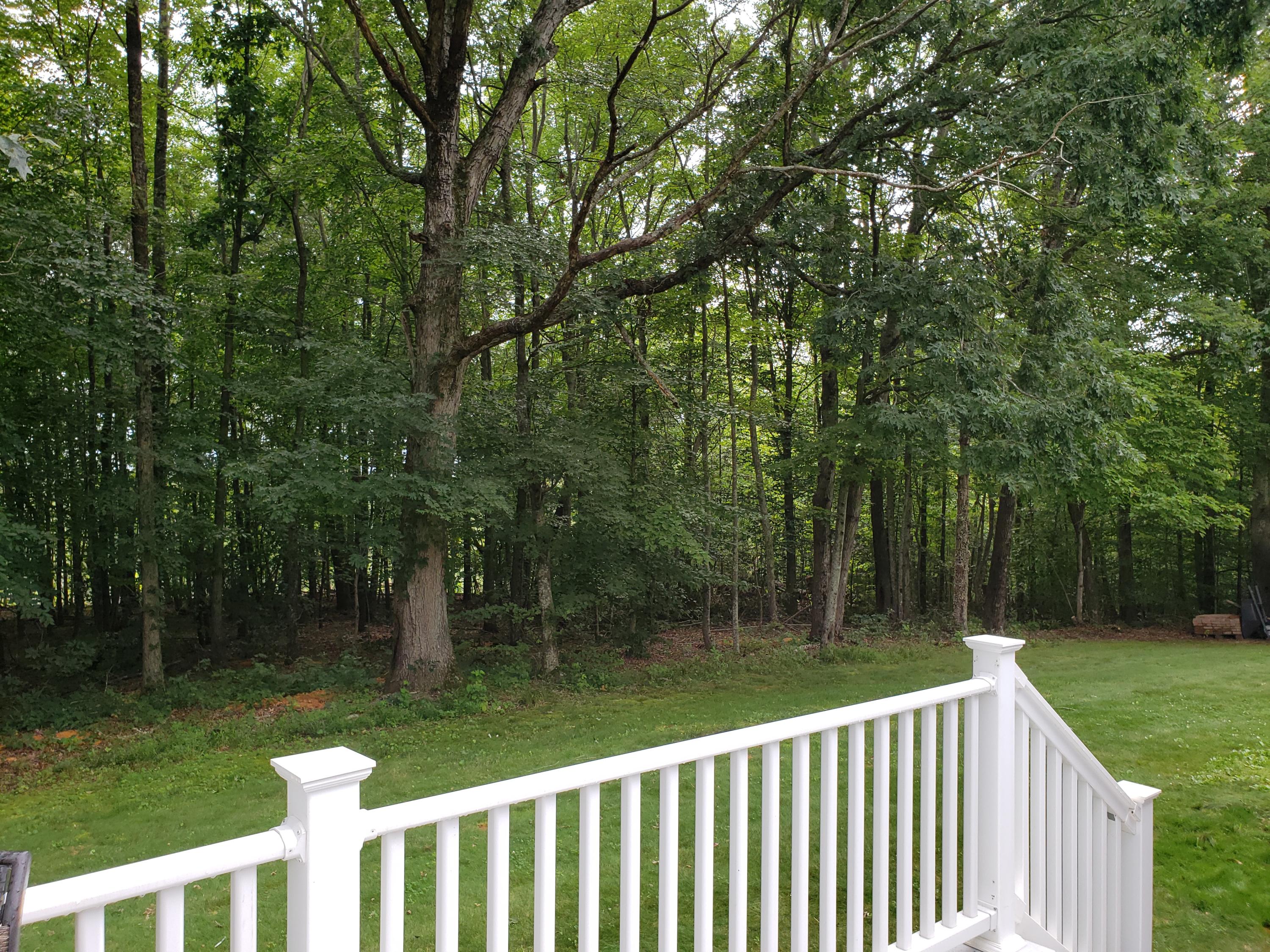 84 Mockingbird Road Boones Mill, VA 24065 - Photo 25 of 32 Back Yard