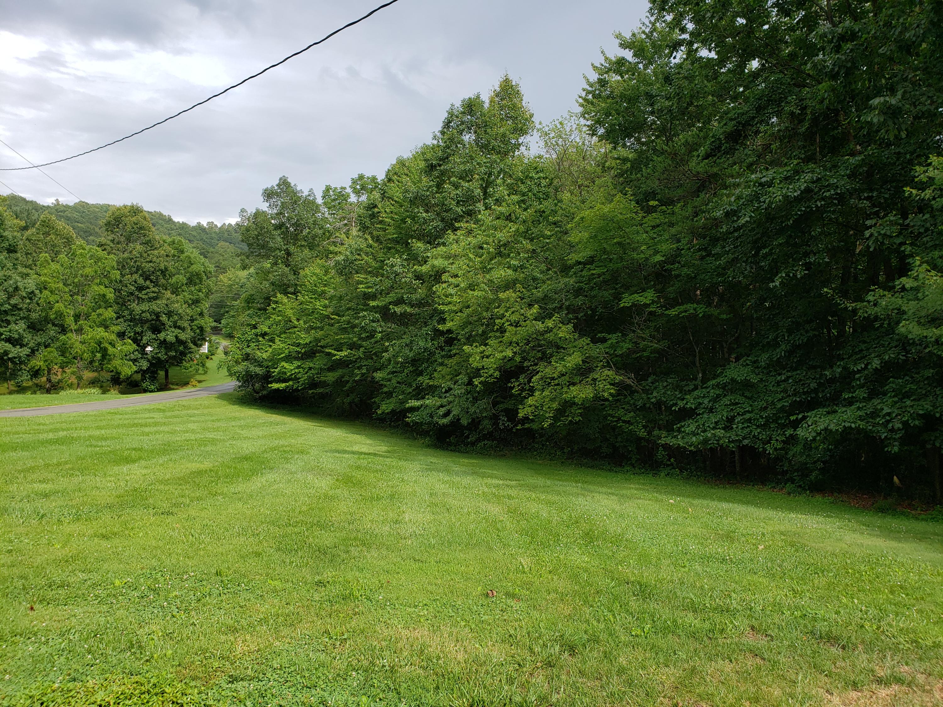84 Mockingbird Road Boones Mill, VA 24065 - Photo 32 of 32 Yard