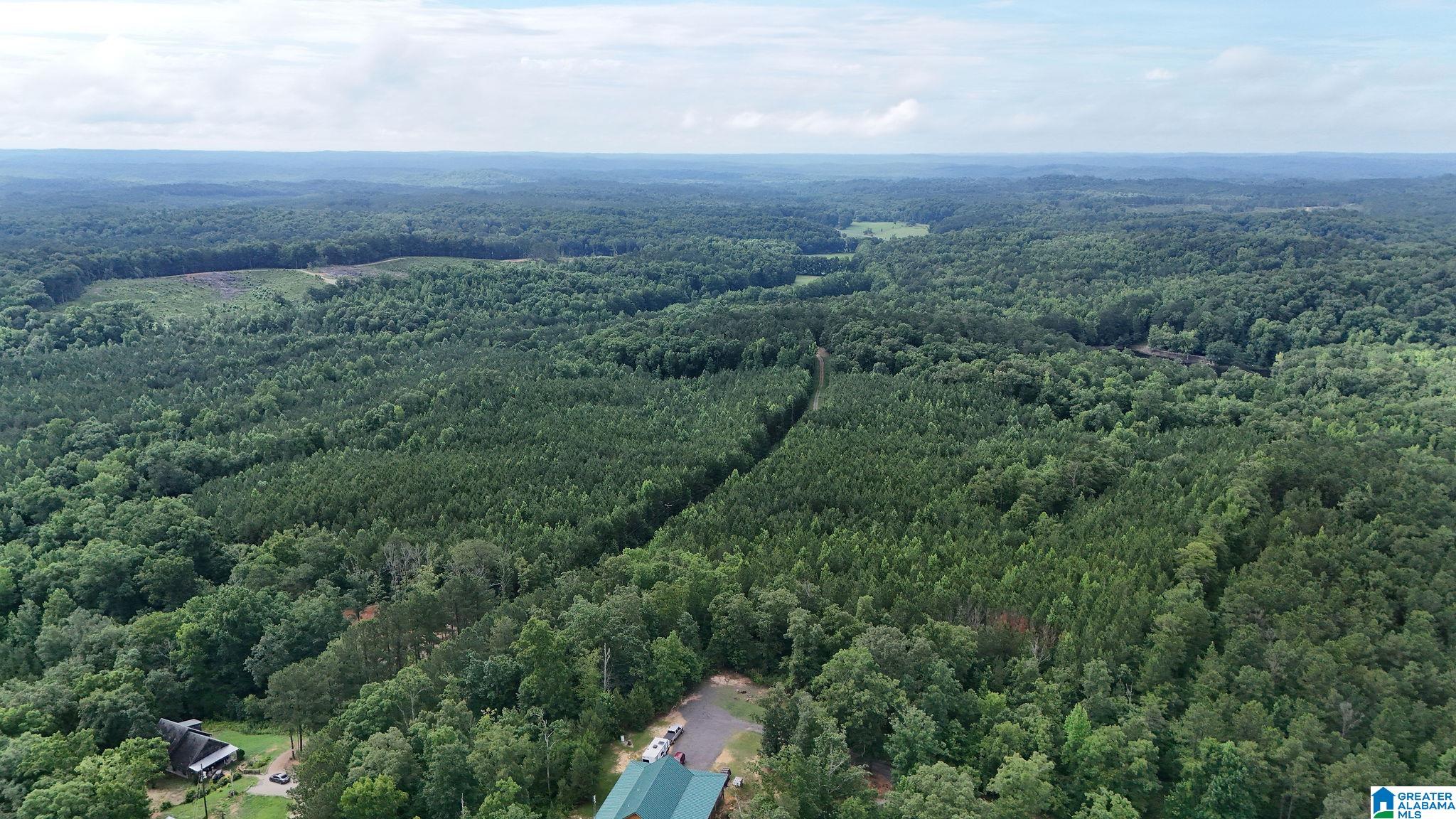 0 Skyview Lake Road Cottondale, AL 35453 - Photo 17 of 22
