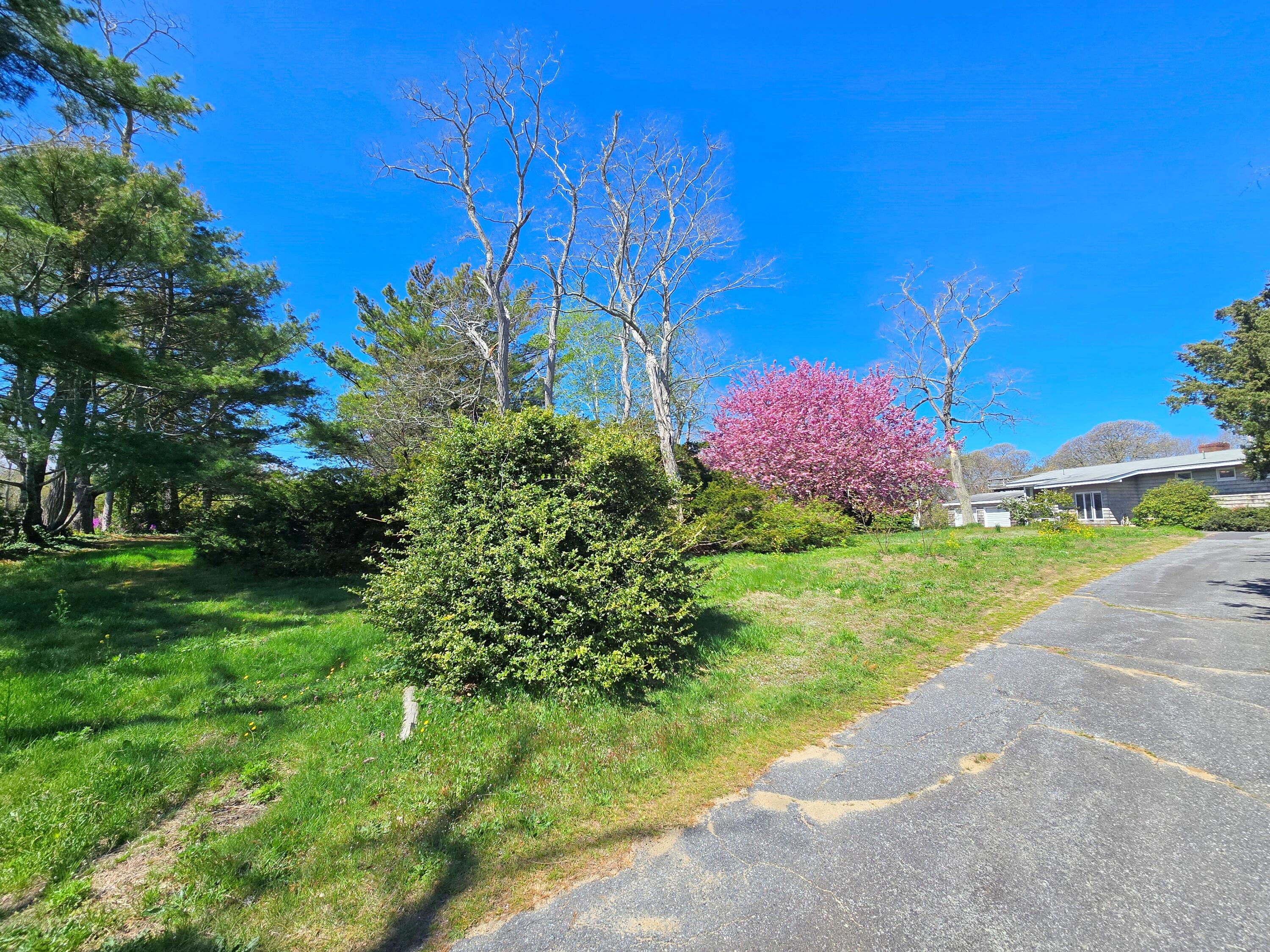56 Locust Road Orleans, MA 02653 - Photo 13 of 90 20260508_105047 ()