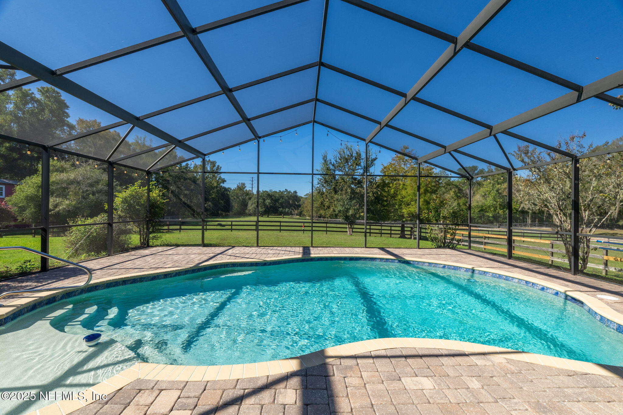 4299 Hawk Haven Road Middleburg, FL 32068 - Photo 2 of 100 View of sparkling enclosed Pool