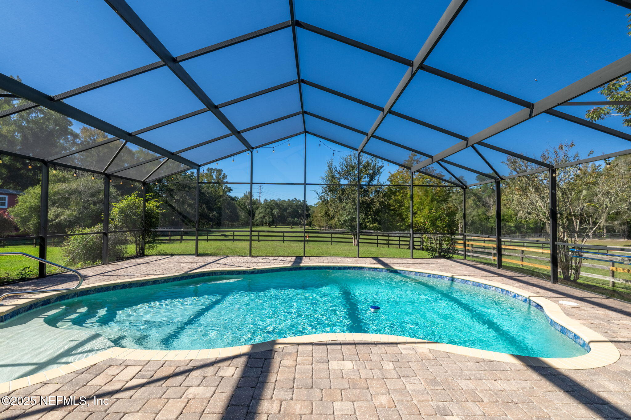 4299 Hawk Haven Road Middleburg, FL 32068 - Photo 45 of 100 View of pool from Lanai