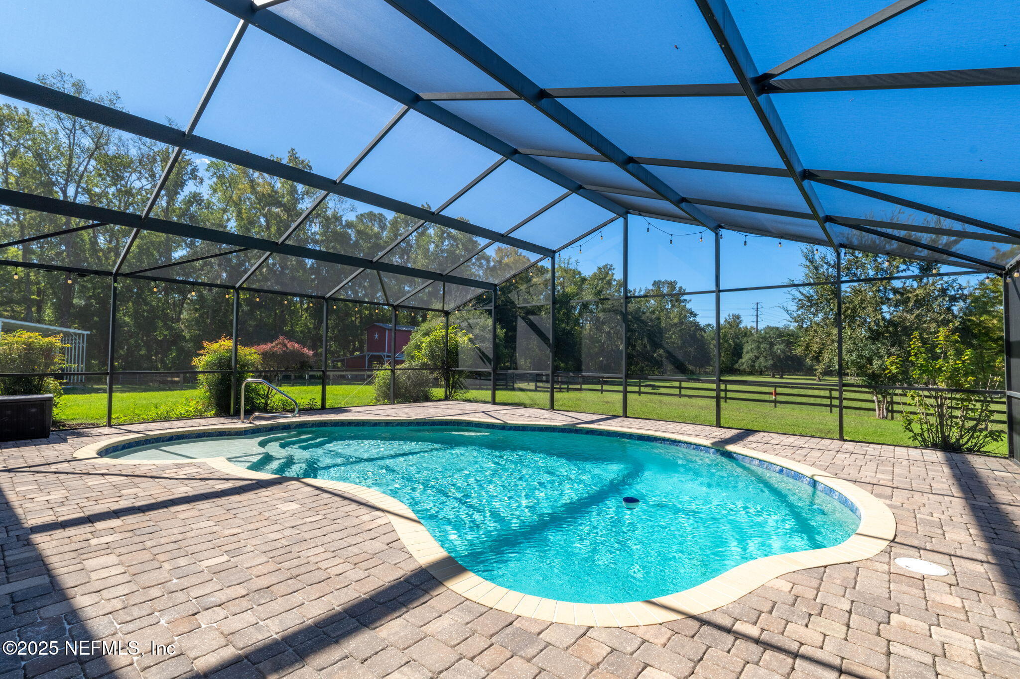 4299 Hawk Haven Road Middleburg, FL 32068 - Photo 46 of 100 Pool 2
