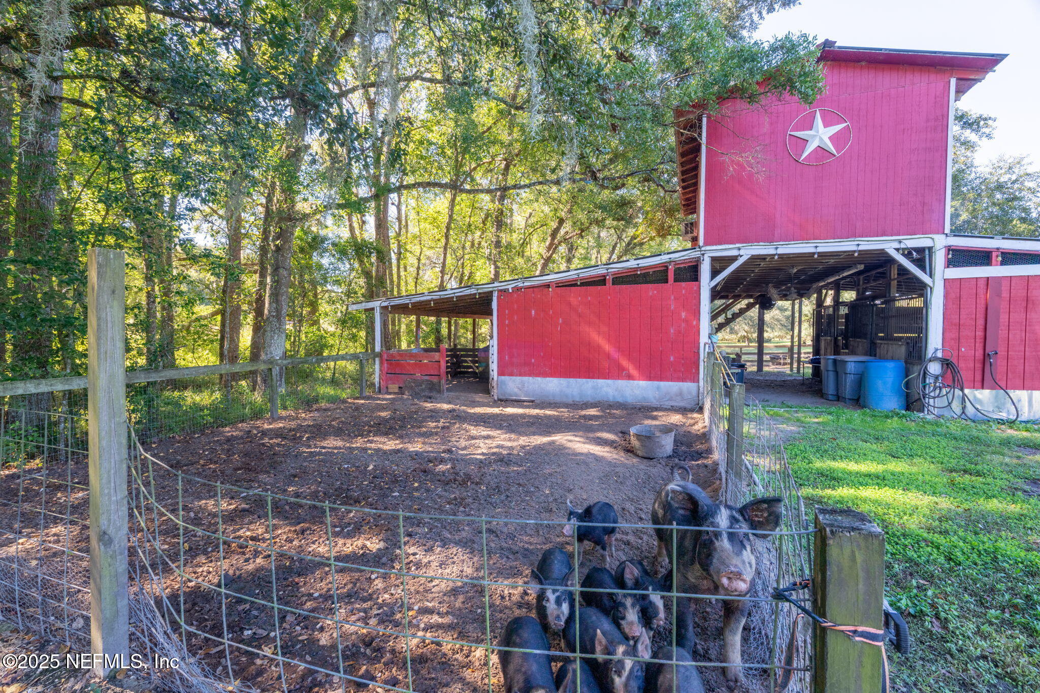 4299 Hawk Haven Road Middleburg, FL 32068 - Photo 57 of 100 Barn 4