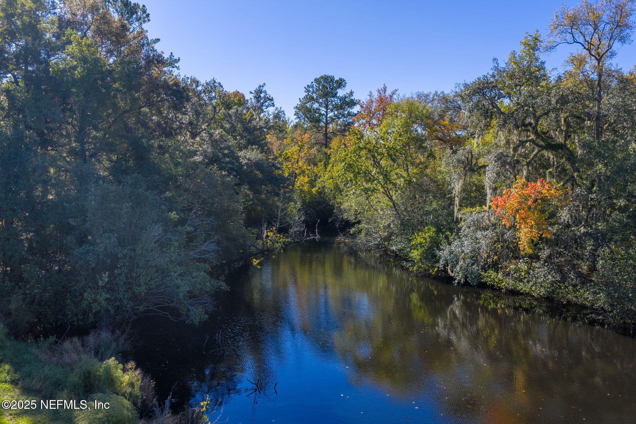 4299 Hawk Haven Road Middleburg, FL 32068 - Photo 6 of 100 View of Black Creek