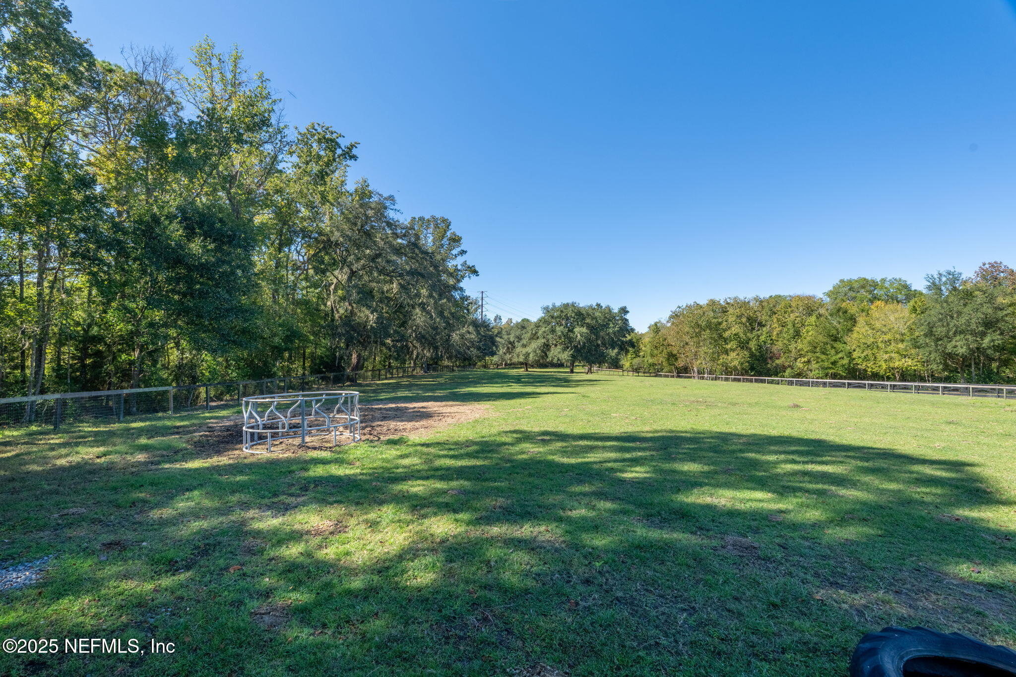 4299 Hawk Haven Road Middleburg, FL 32068 - Photo 62 of 100 View of Pasture 1