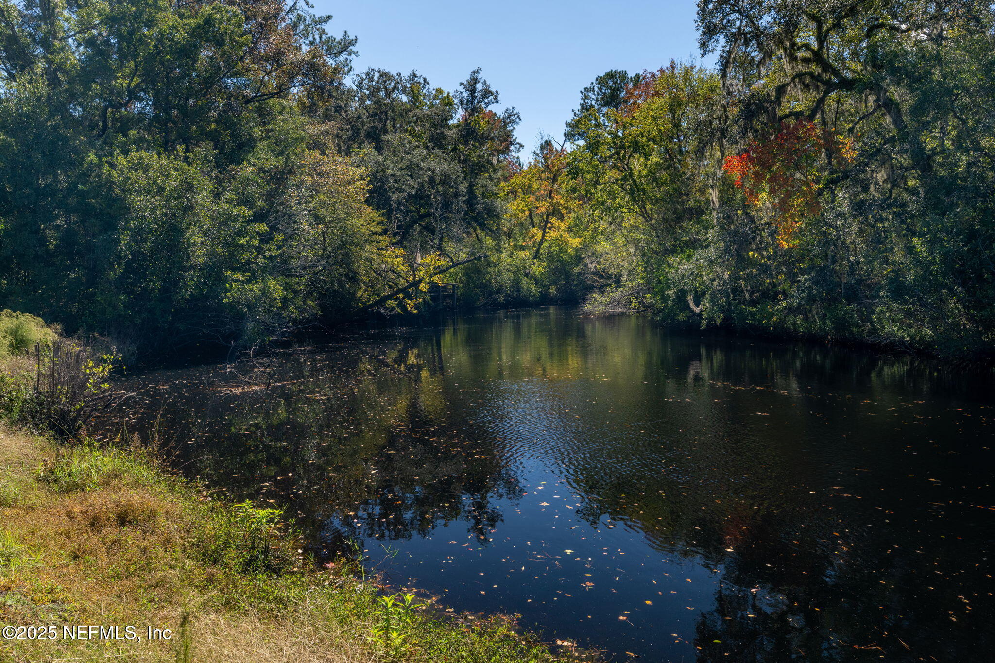 4299 Hawk Haven Road Middleburg, FL 32068 - Photo 66 of 100 Black Creek