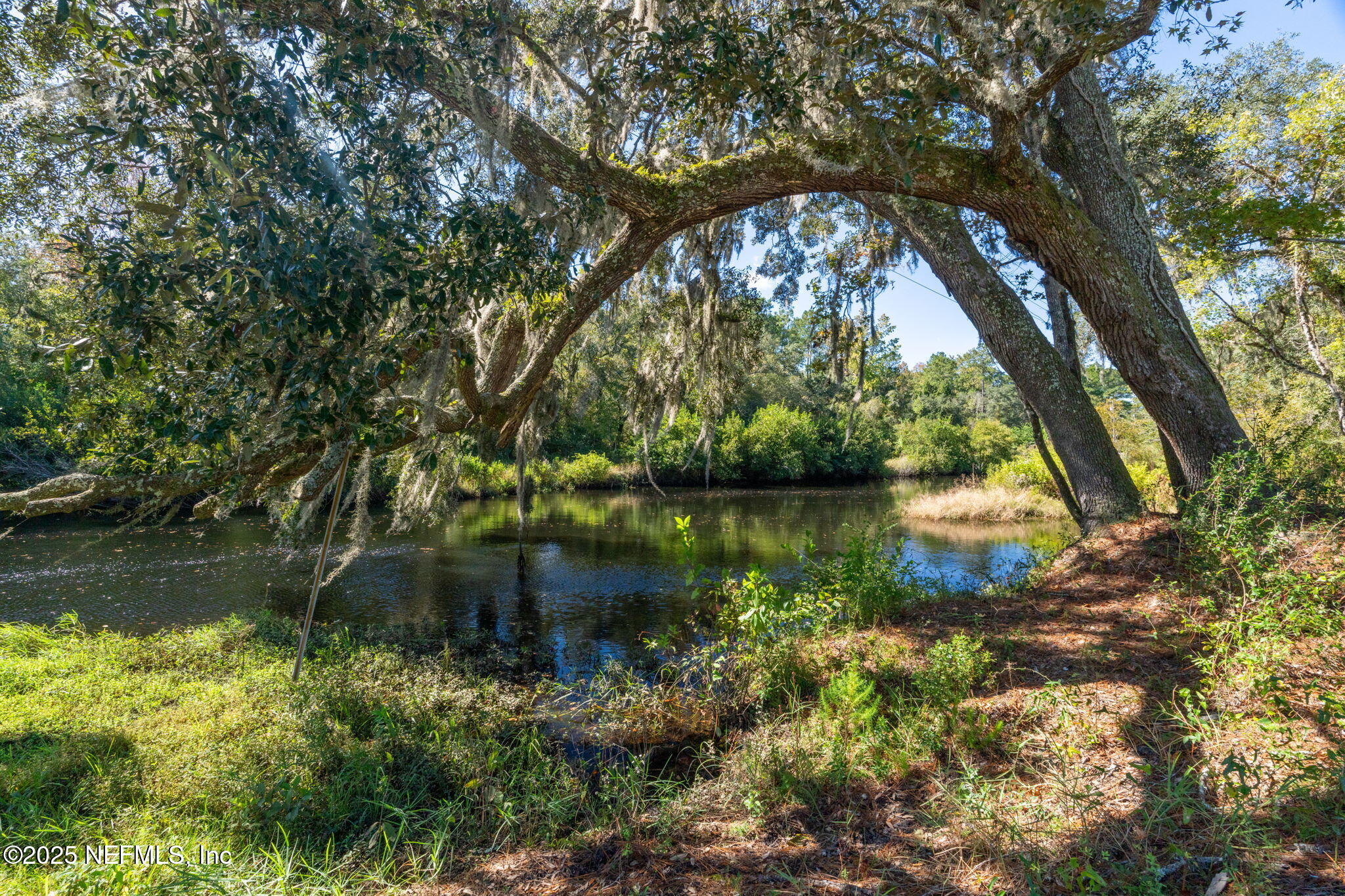 4299 Hawk Haven Road Middleburg, FL 32068 - Photo 67 of 100 Black Creek 2
