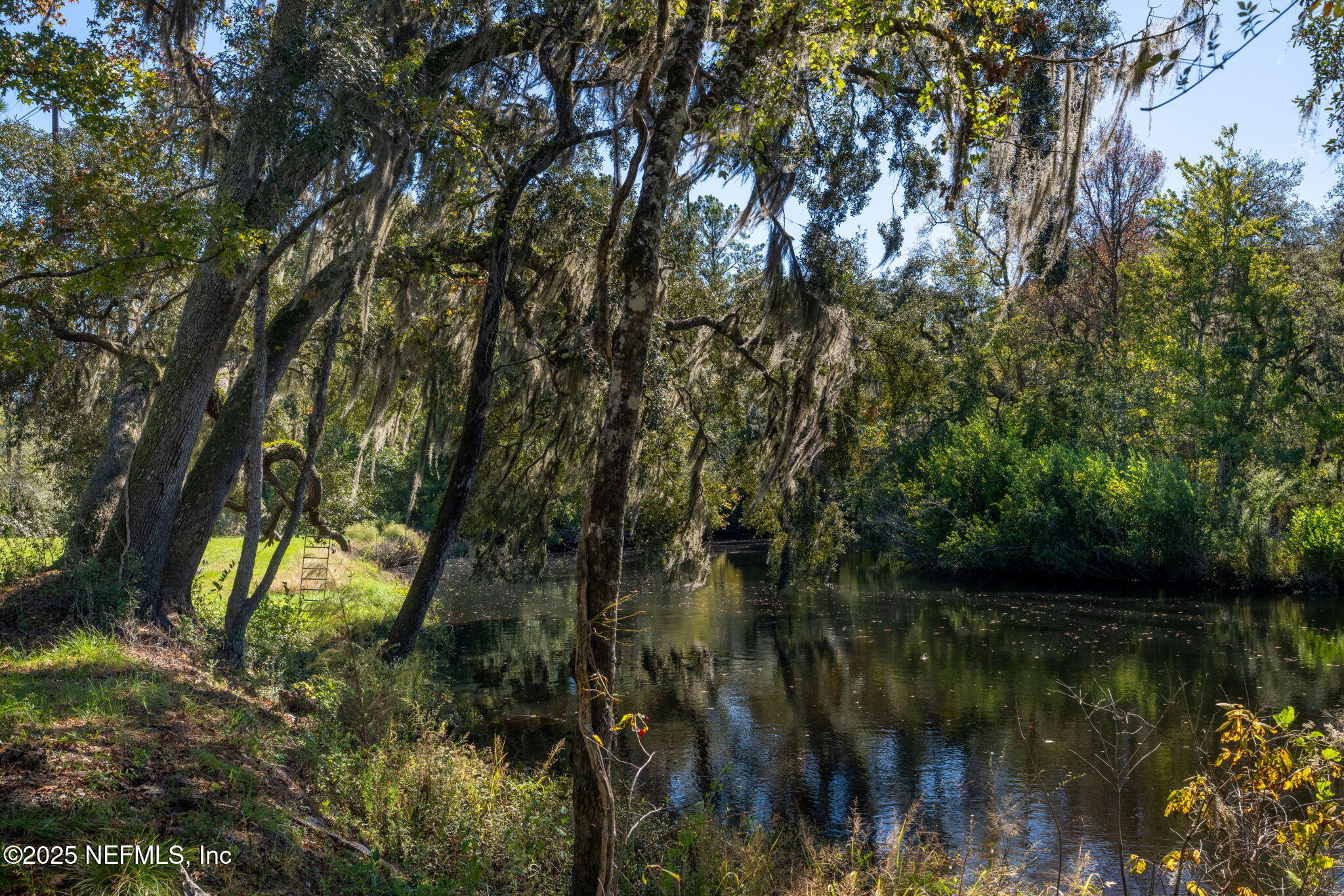 4299 Hawk Haven Road Middleburg, FL 32068 - Photo 75 of 100 Black Creek 3