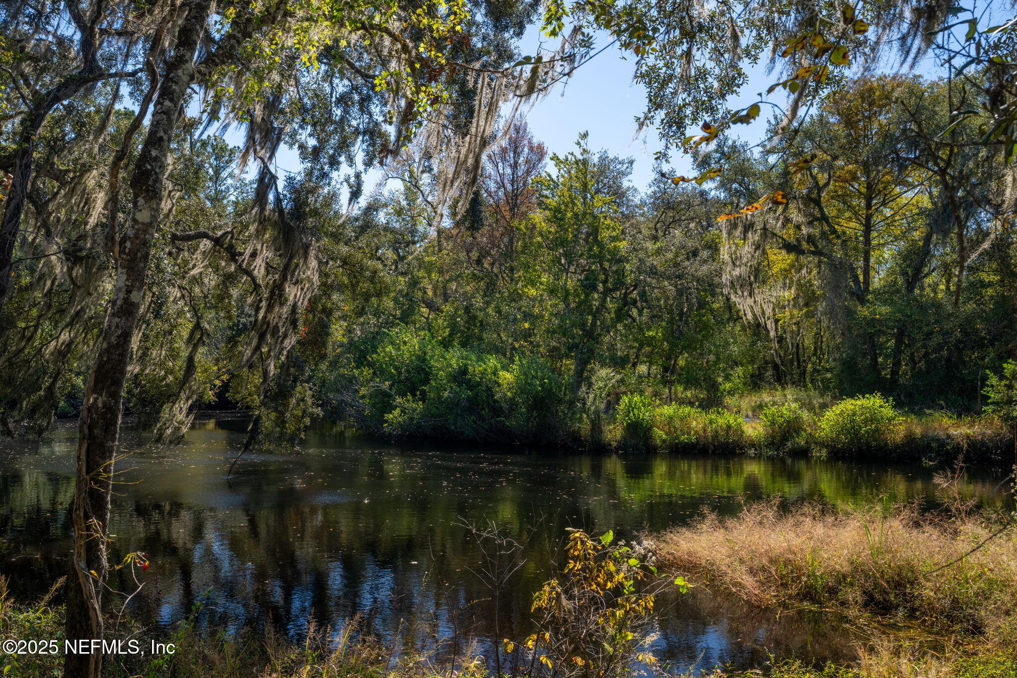 4299 Hawk Haven Road Middleburg, FL 32068 - Photo 76 of 100 Black Creek 4