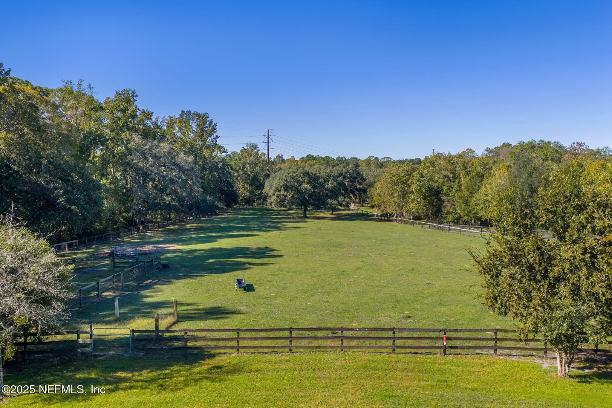 4299 Hawk Haven Road Middleburg, FL 32068 - Photo 90 of 100 View of Pasture