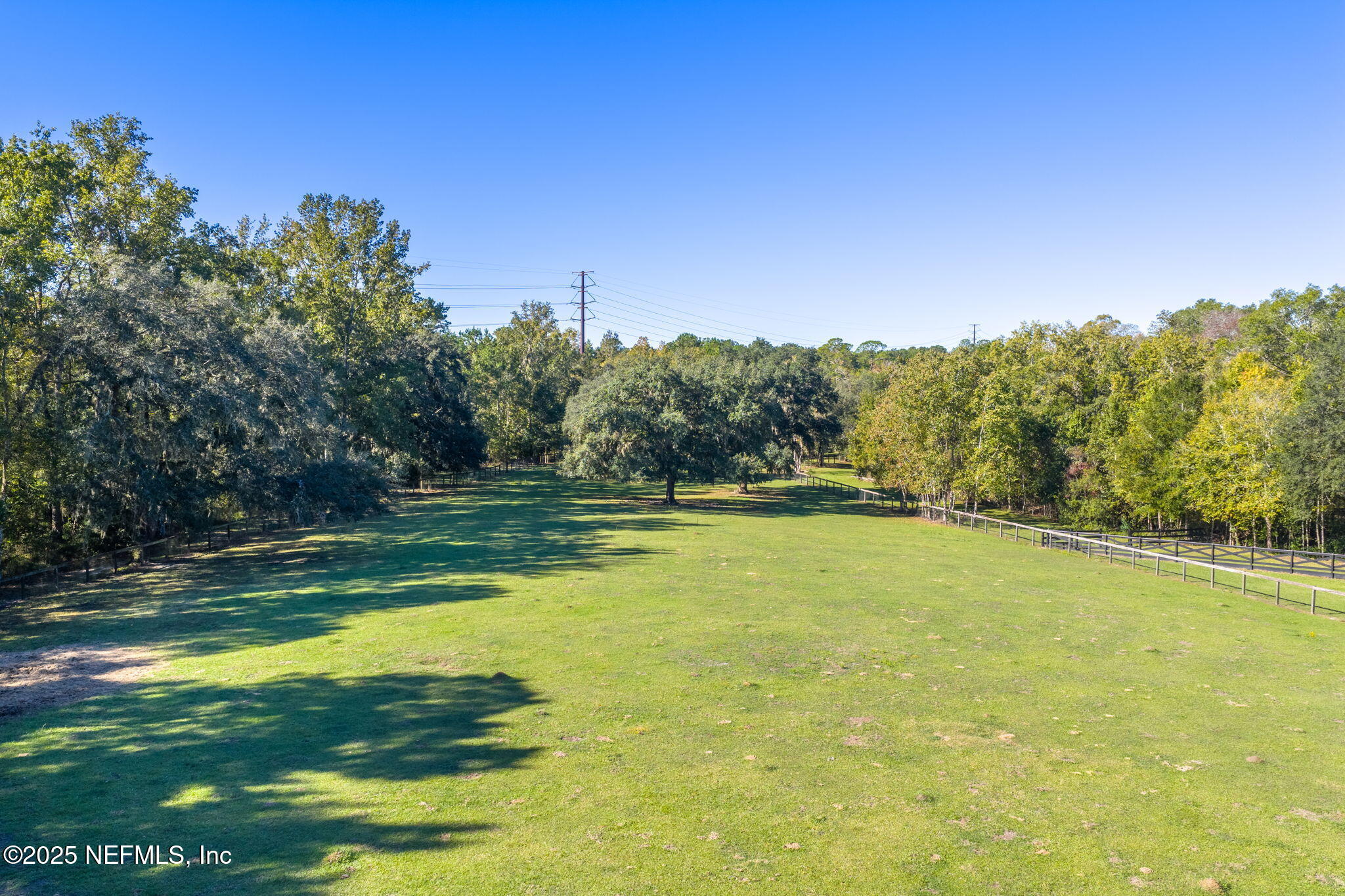 4299 Hawk Haven Road Middleburg, FL 32068 - Photo 91 of 100 Another view of Pasture