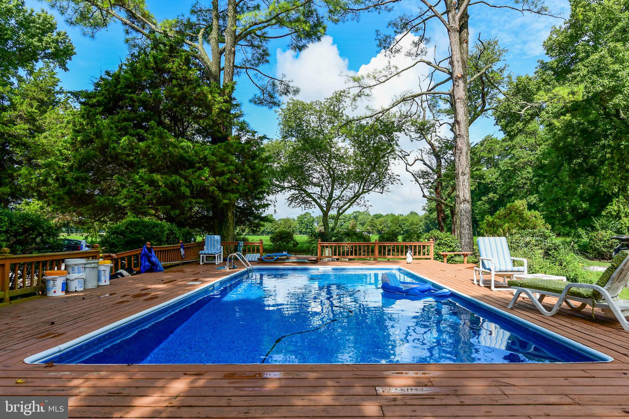 29622 Polks Road Princess Anne, MD 21853 - Photo 3 of 46 IMAGINE ENJOYING THIS IN GROUND POOL