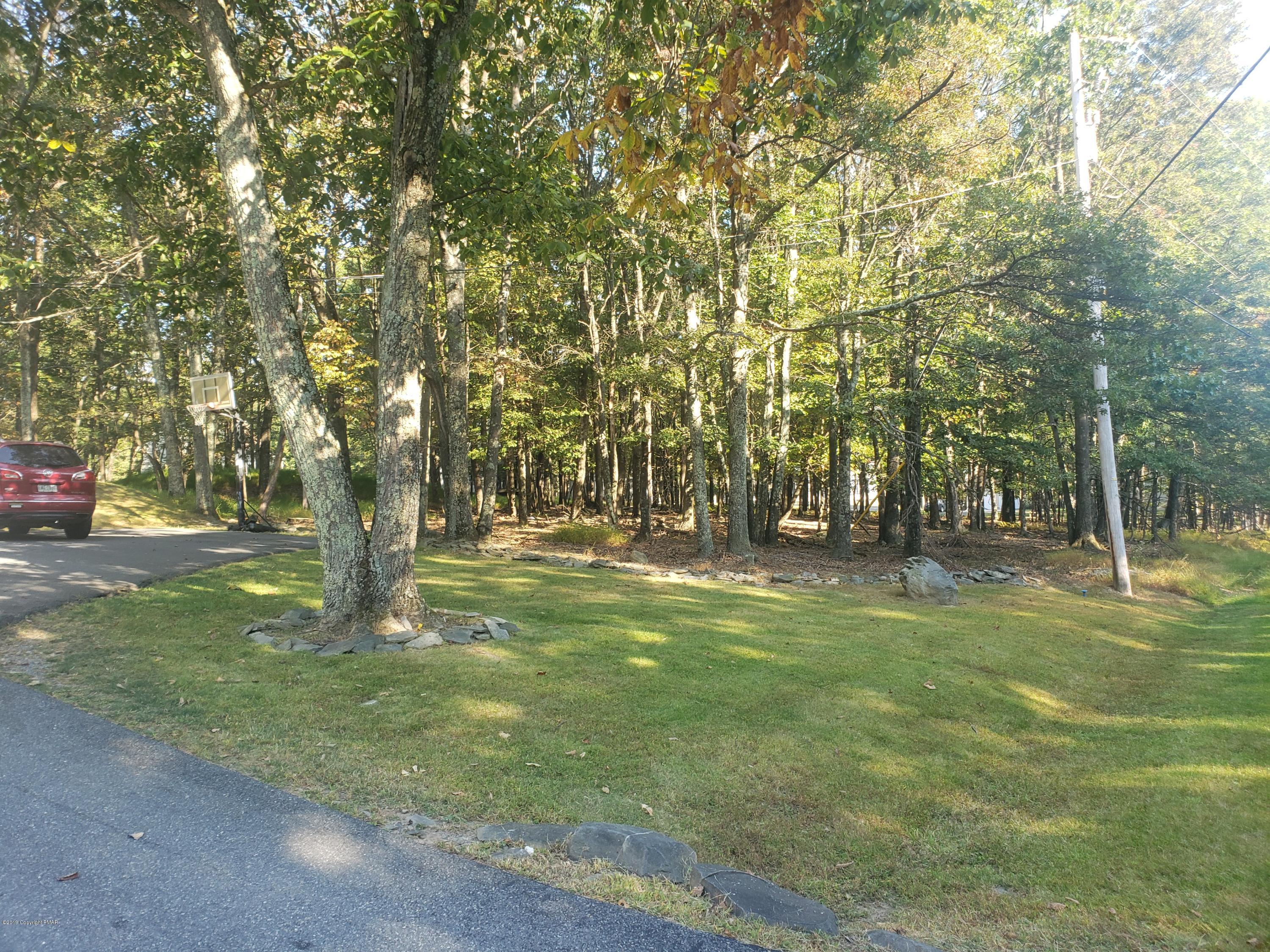 4307 Pine Ridge Drive West Bushkill, PA 18324 - Photo 5 of 28 a view of yard with trees