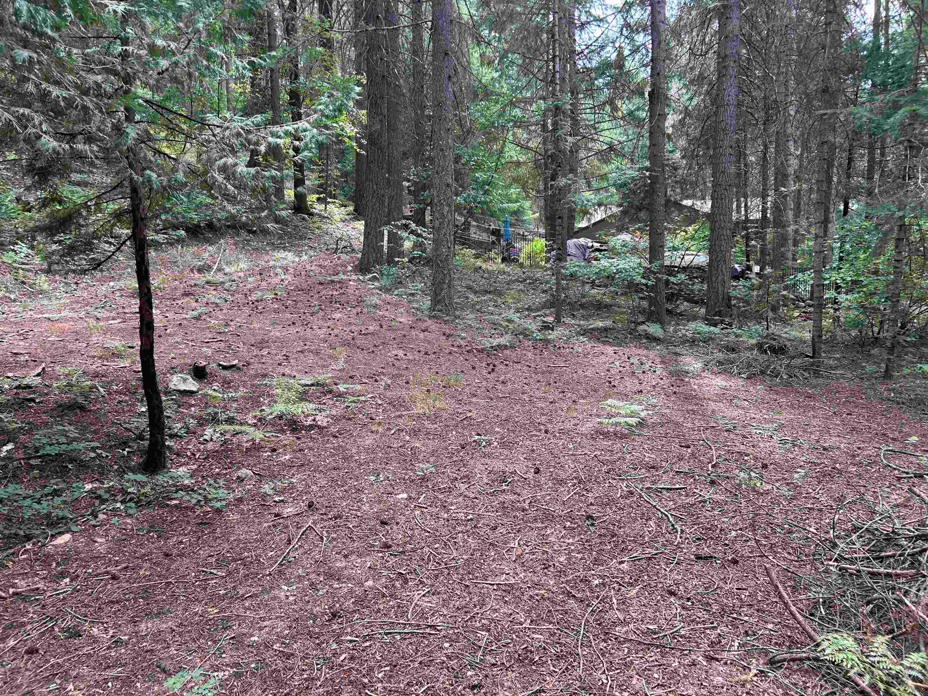 Lot 9 Timber Hills Road Mount Shasta, CA 96067 - Photo 6 of 8 Gallery Image 6