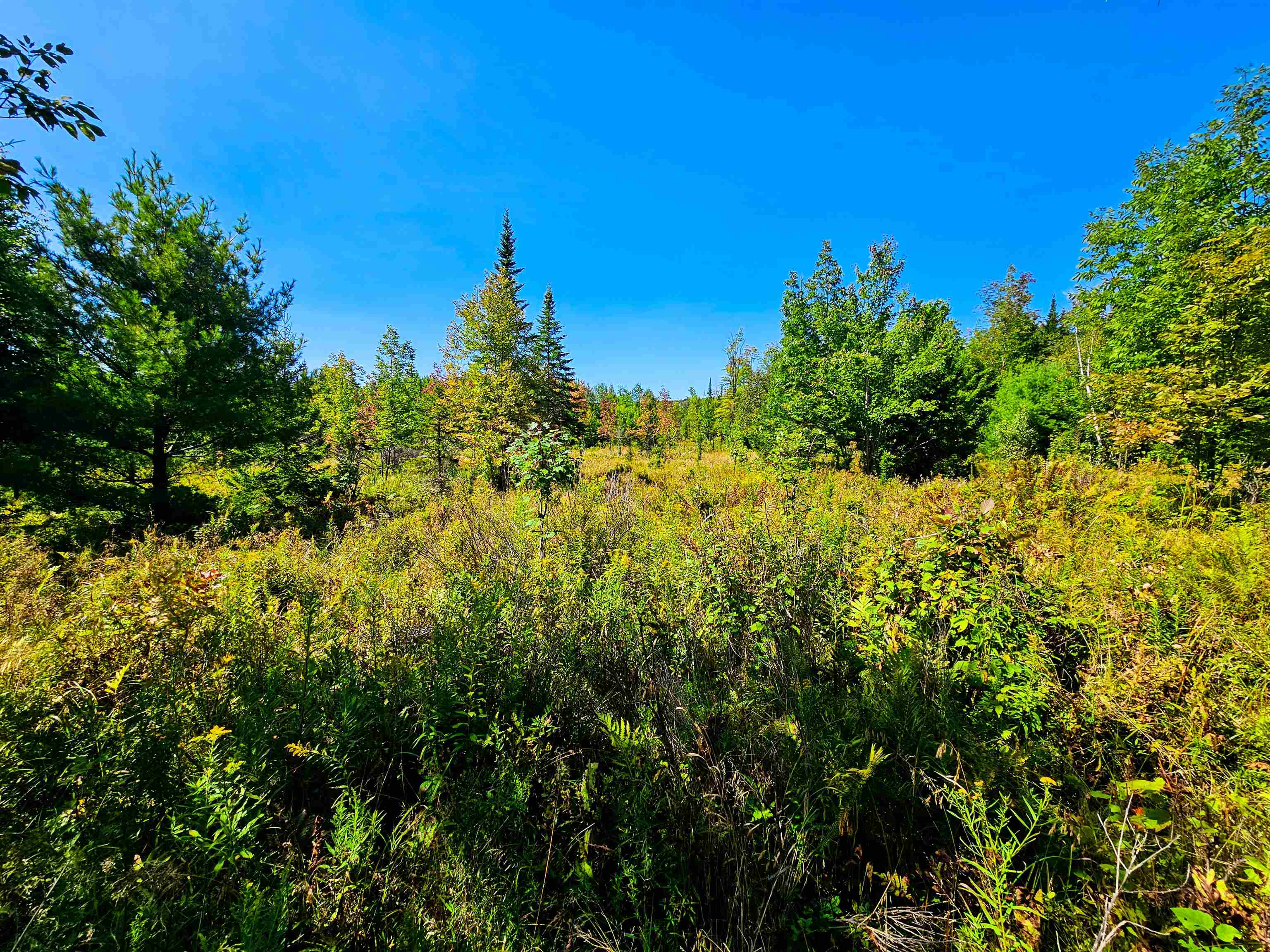 522 Mt Misery Road Littleton, NH 03561 - Photo 11 of 40 Gallery Image 11