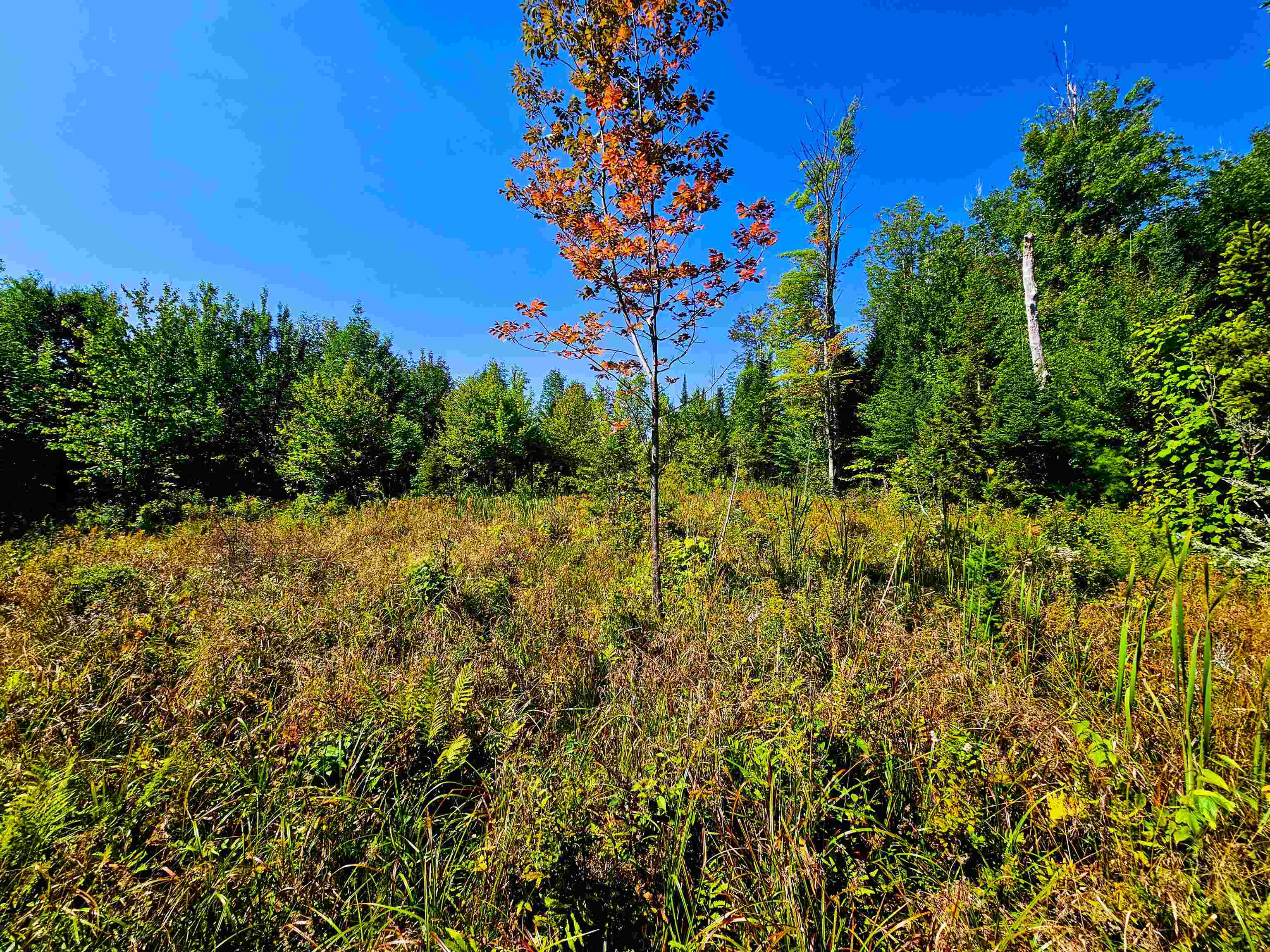 522 Mt Misery Road Littleton, NH 03561 - Photo 12 of 40 Gallery Image 12