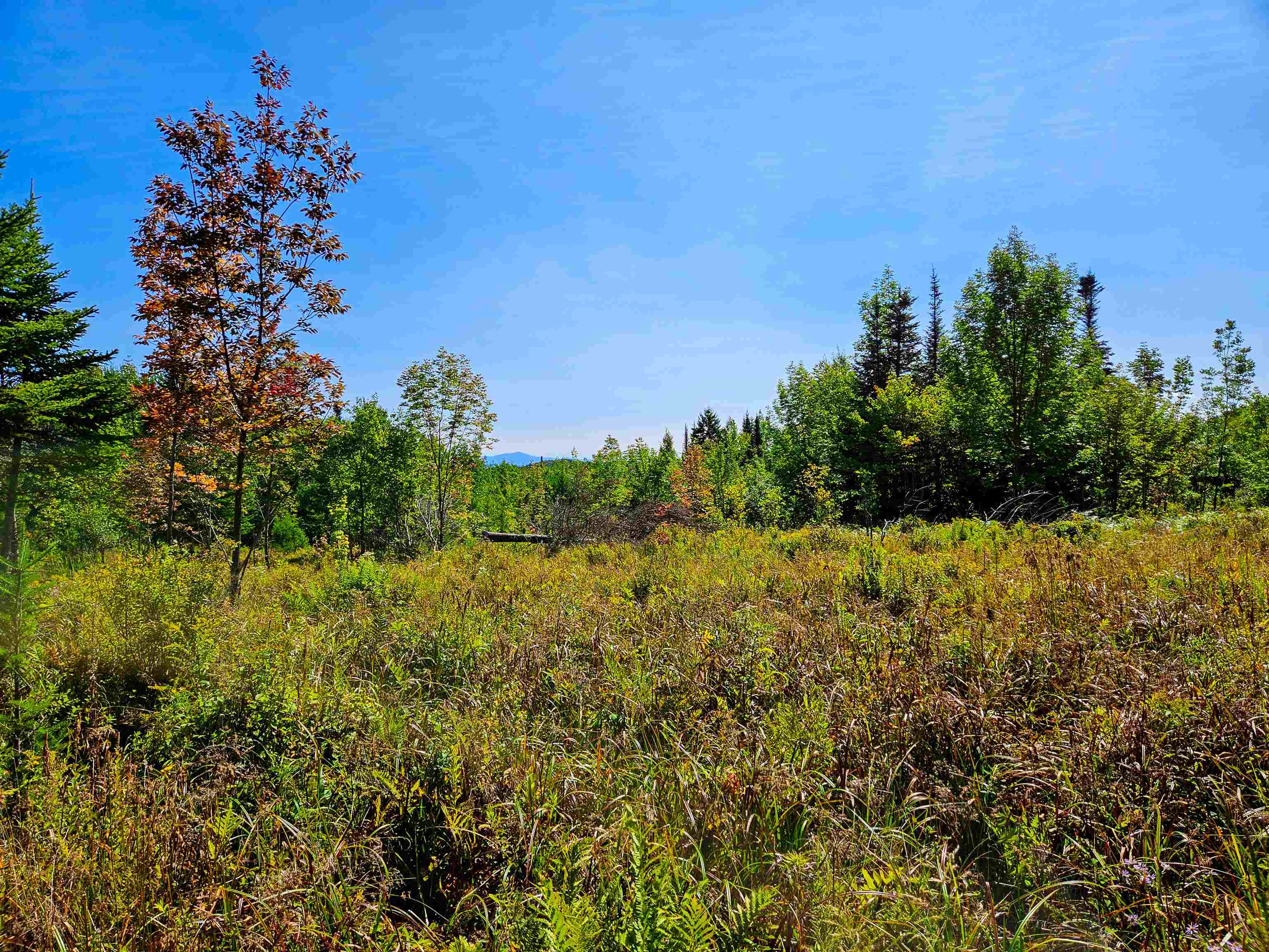 522 Mt Misery Road Littleton, NH 03561 - Photo 14 of 40 Gallery Image 14