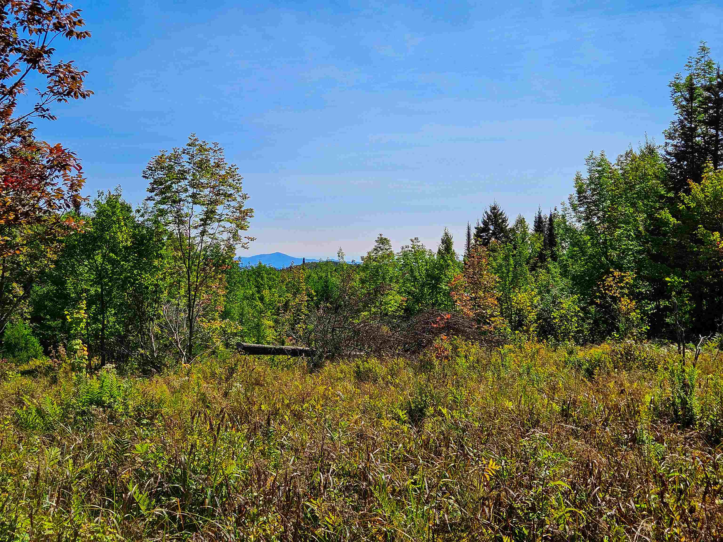 522 Mt Misery Road Littleton, NH 03561 - Photo 15 of 40 Gallery Image 15