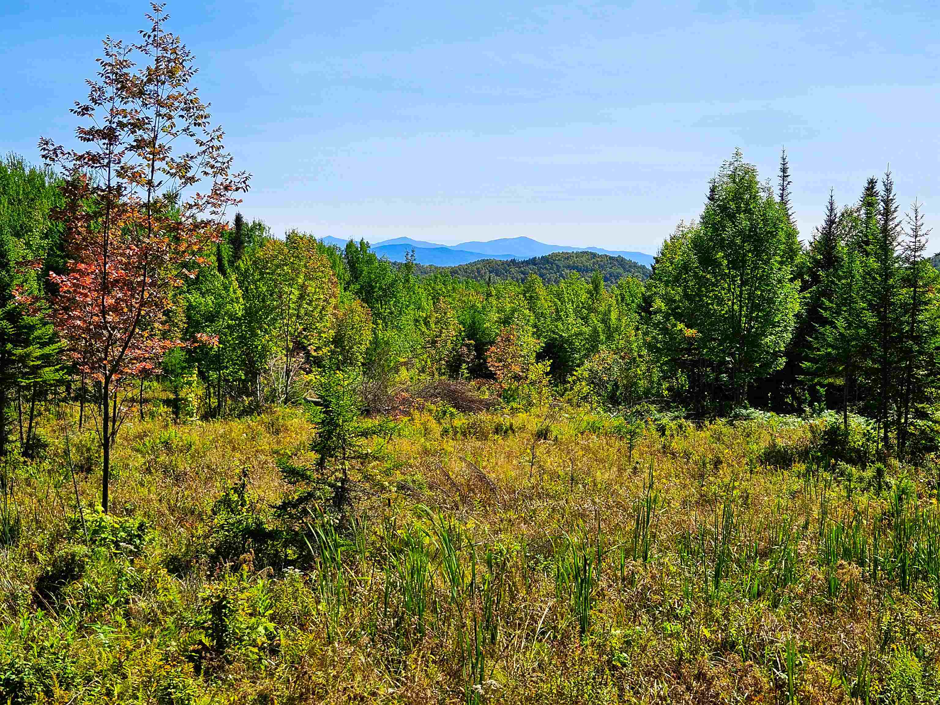 522 Mt Misery Road Littleton, NH 03561 - Photo 17 of 40 Gallery Image 17