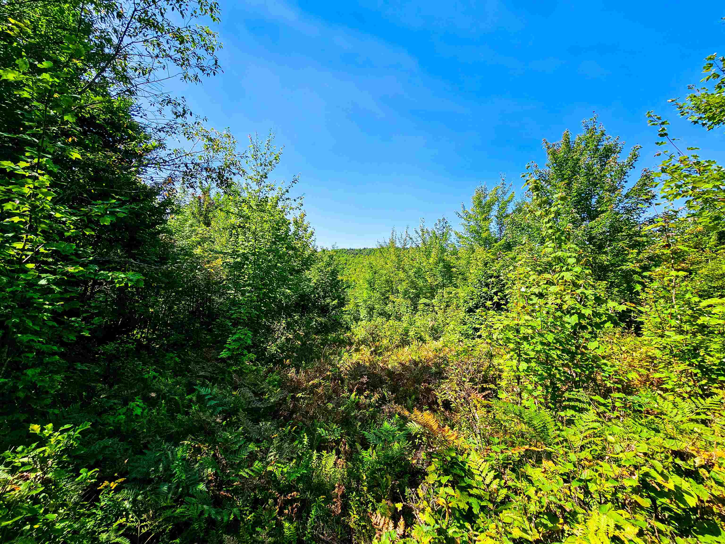 522 Mt Misery Road Littleton, NH 03561 - Photo 20 of 40 Gallery Image 20