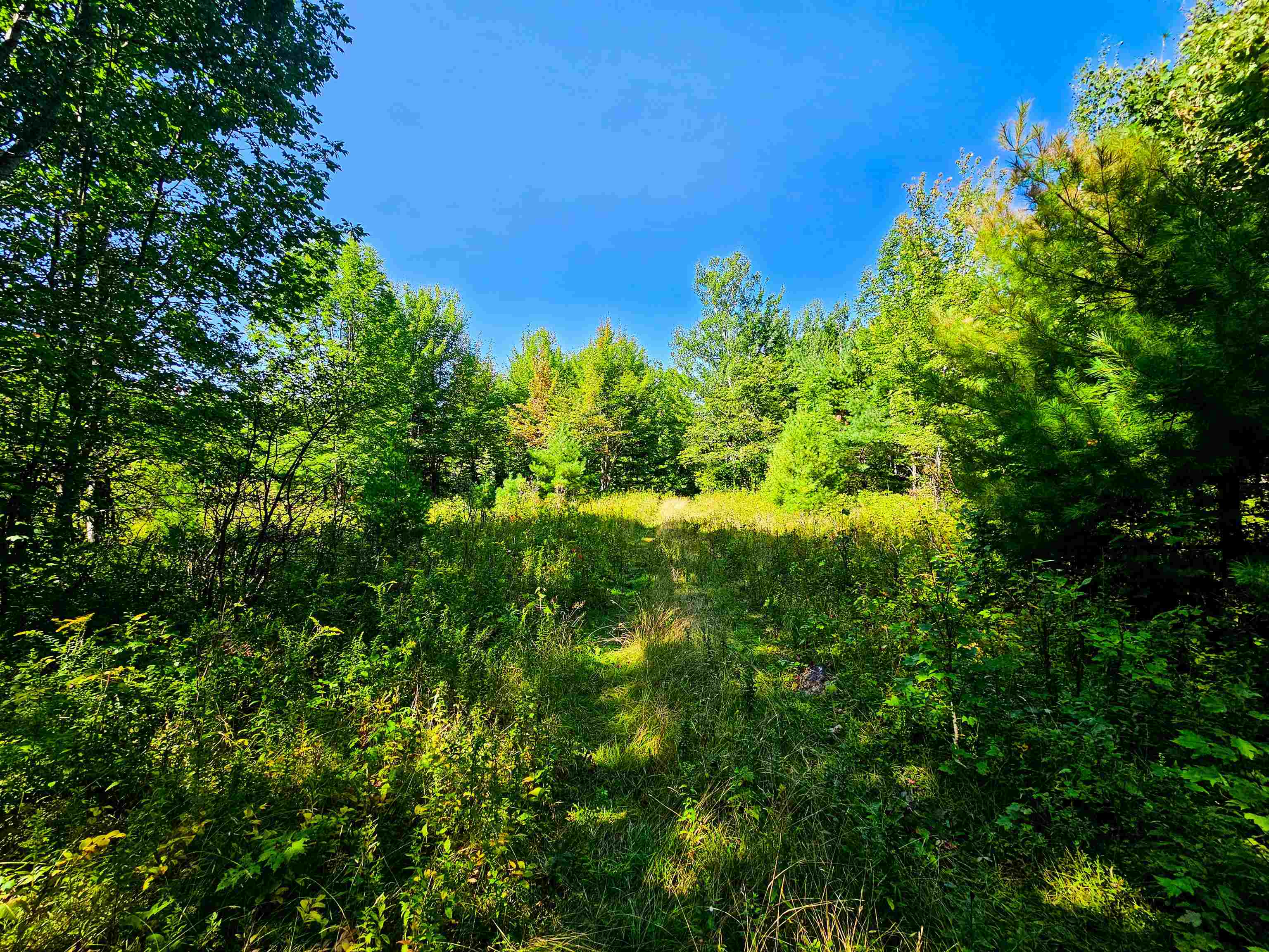 522 Mt Misery Road Littleton, NH 03561 - Photo 21 of 40 Gallery Image 21